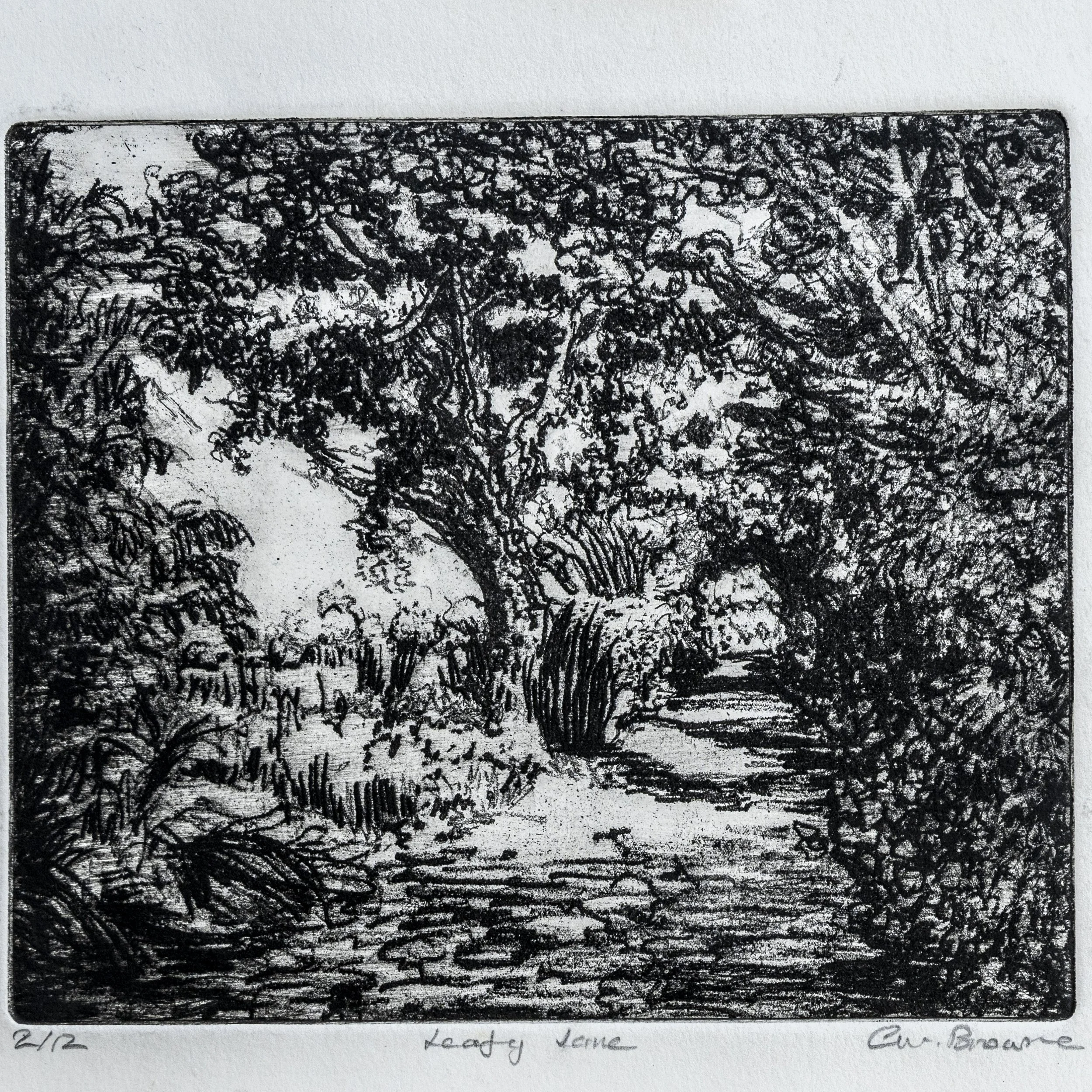 58 : Etching | "Leafy Lane"