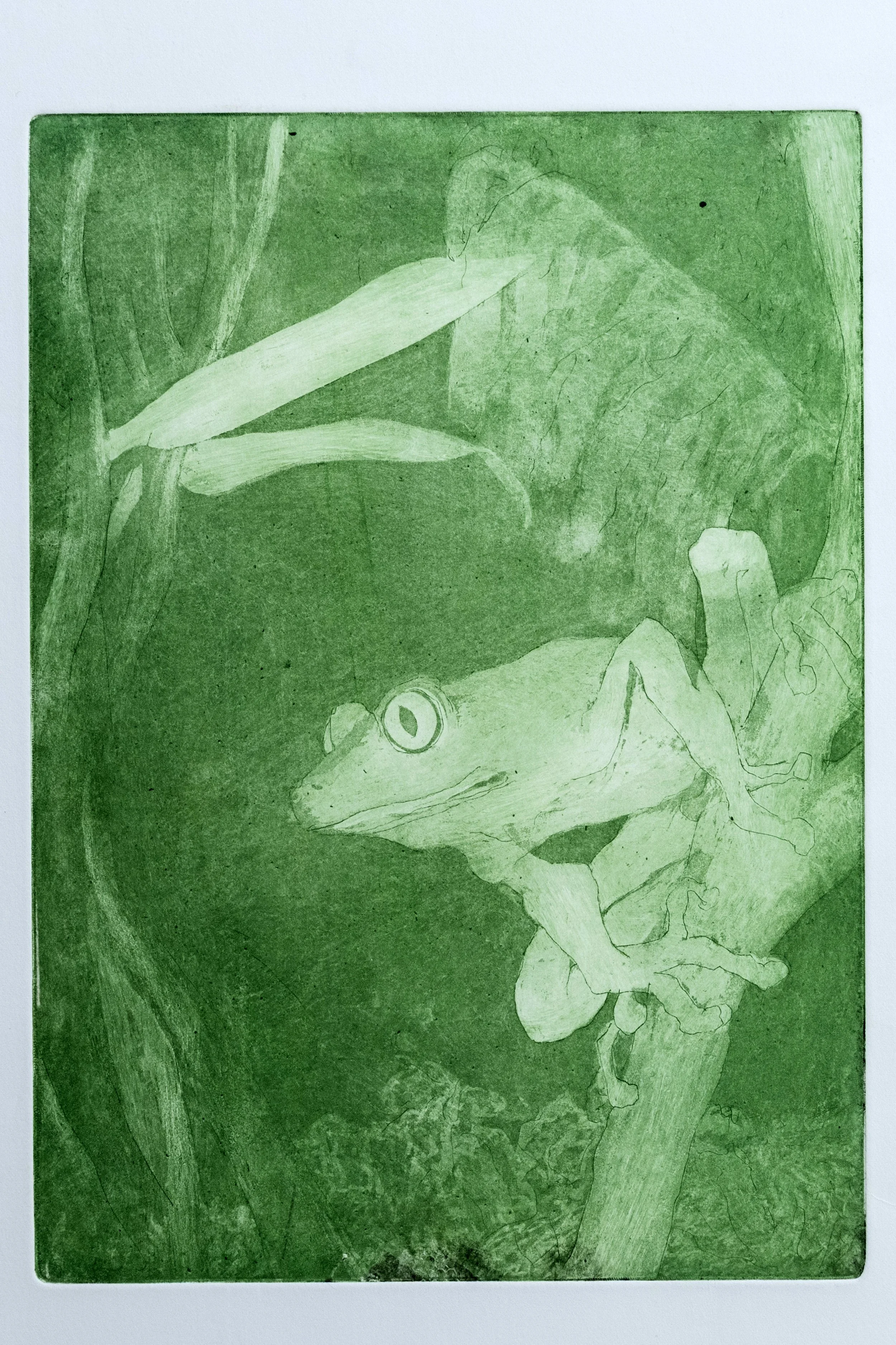 32 : Lithograph | "Frog" in green ink
