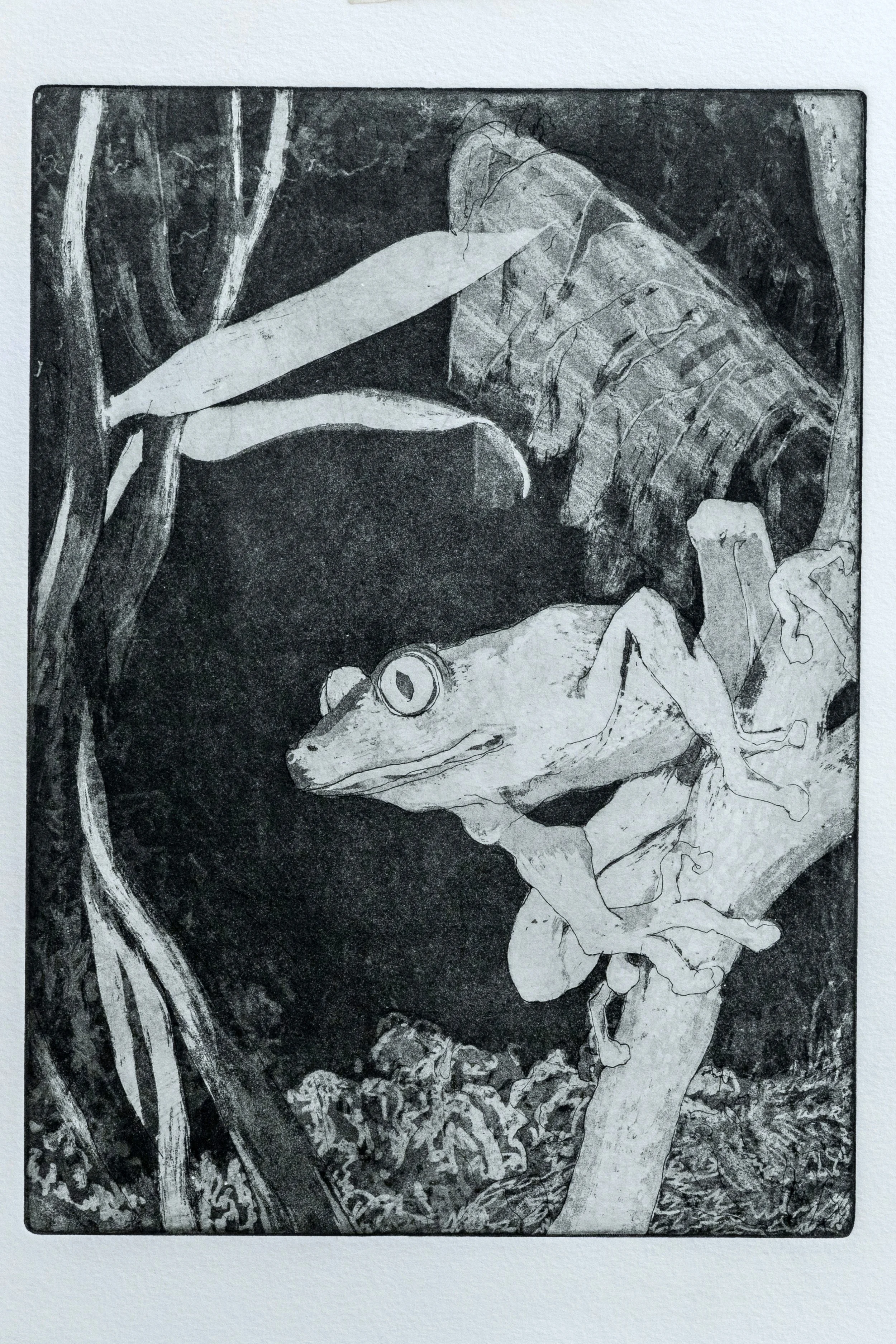 33 : Lithograph | "Frog" in black ink