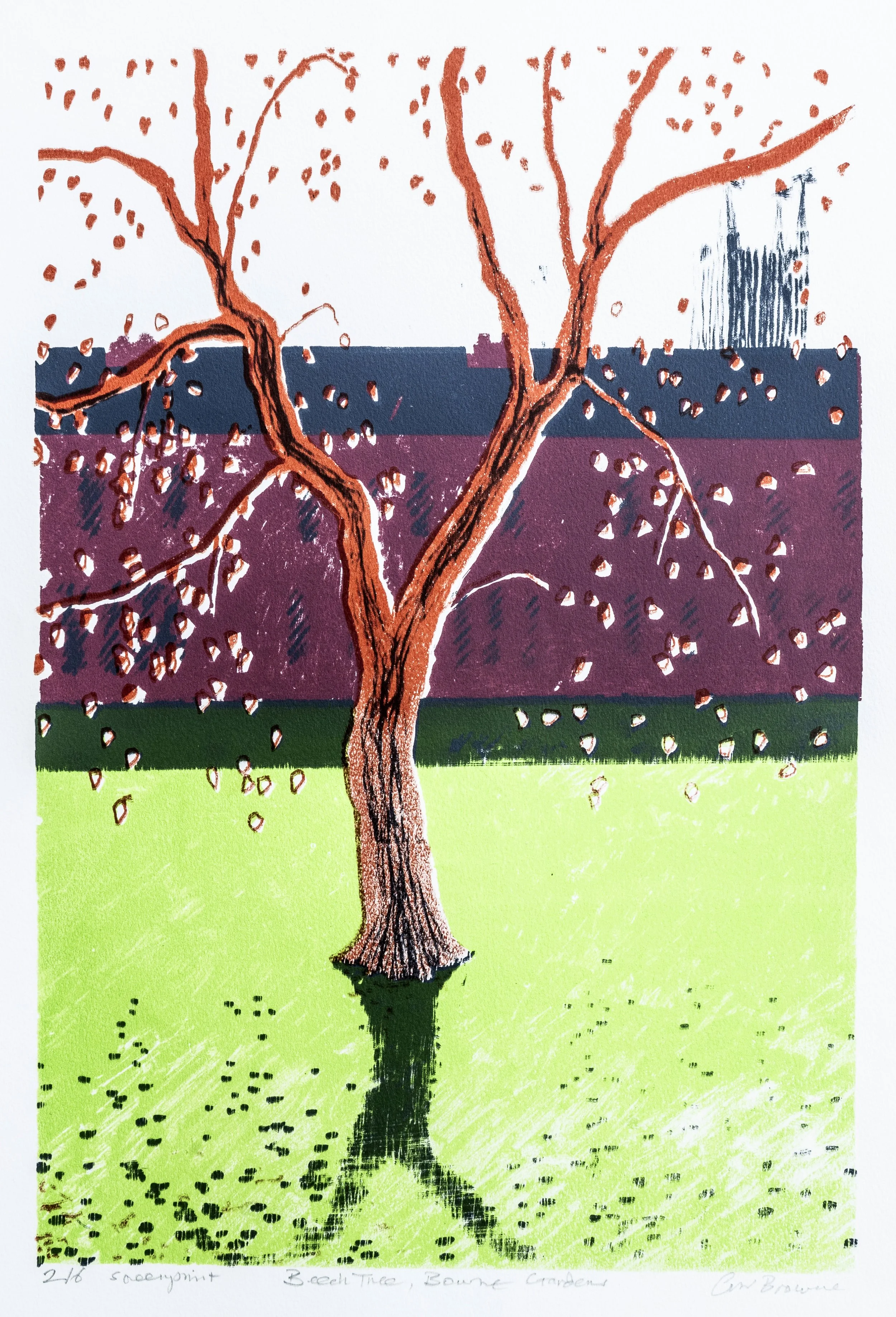 42 : Screenprint | "Beech Tree, Bourne Gardens"