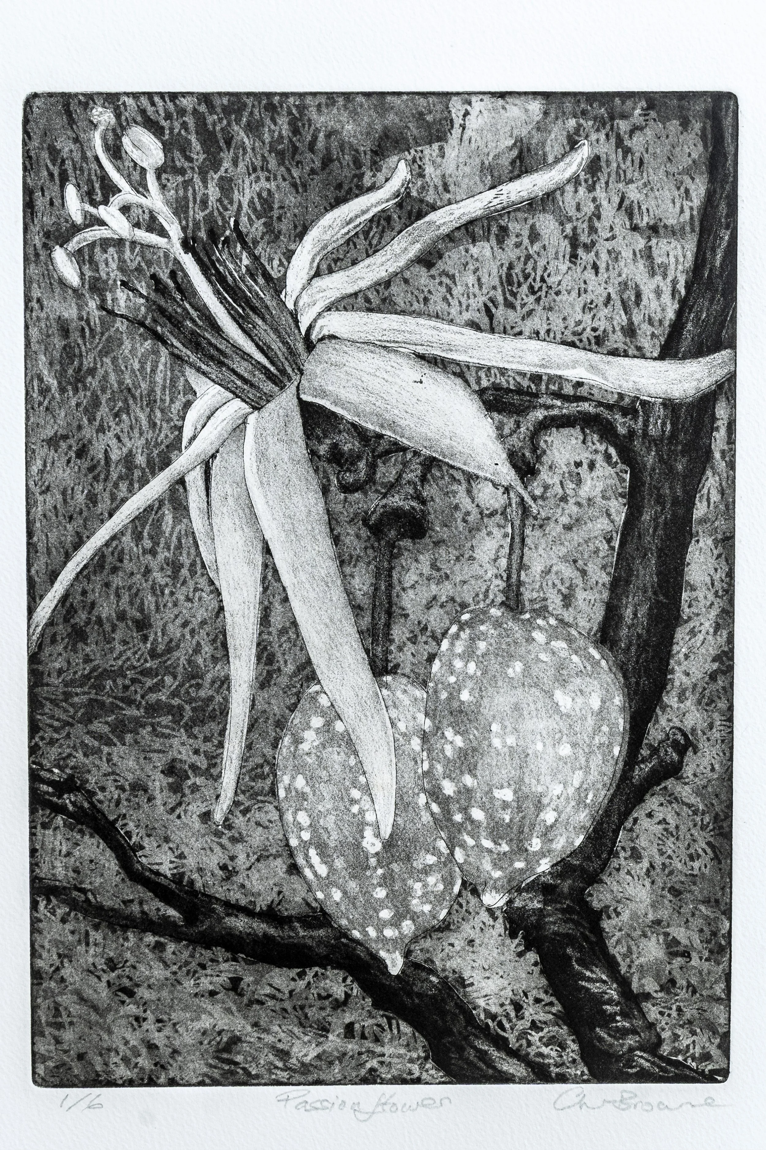 89 : Lithograph | "Passion Flower"