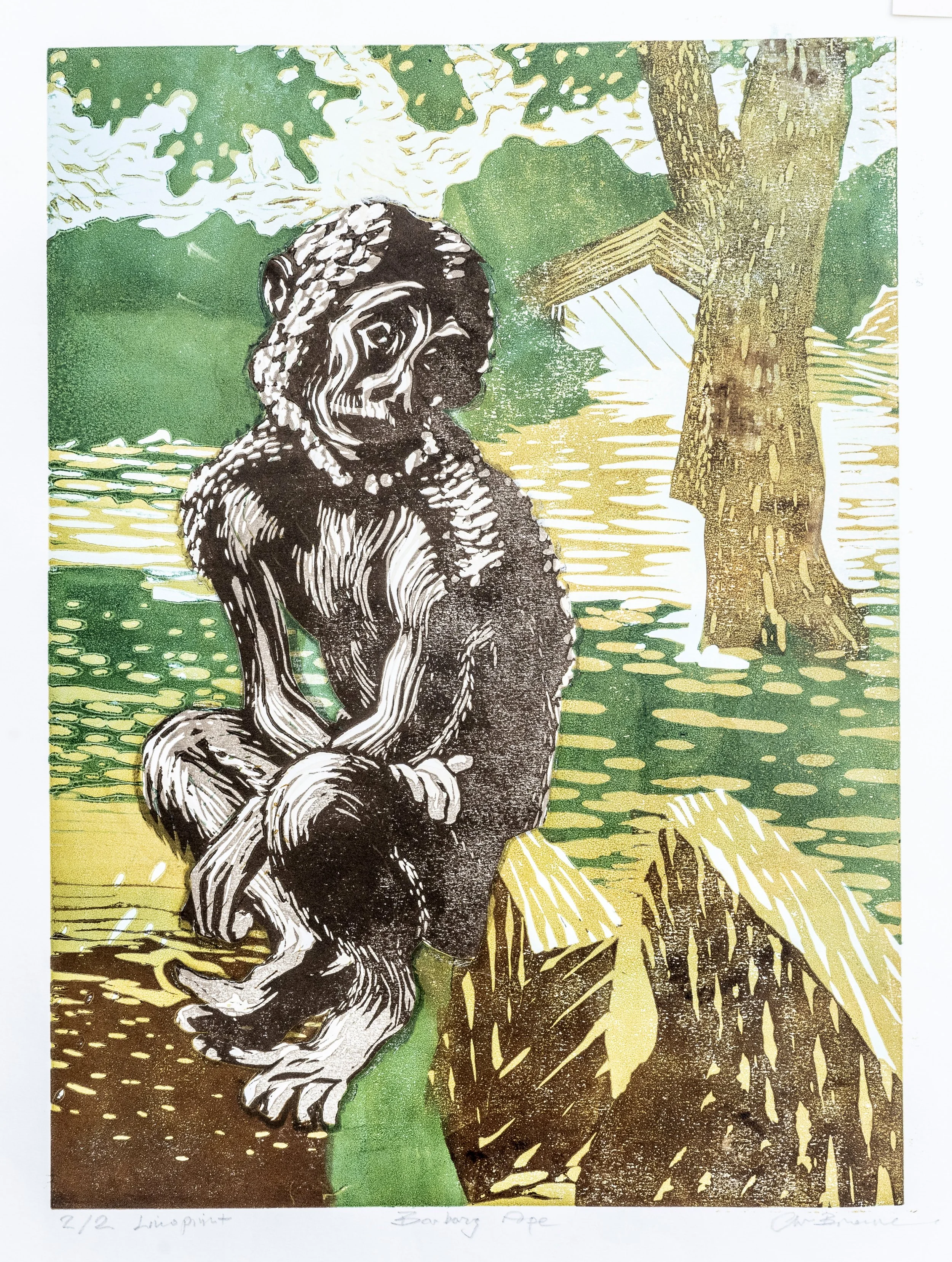 40 : Linoprint | "Barbary Ape" in colour