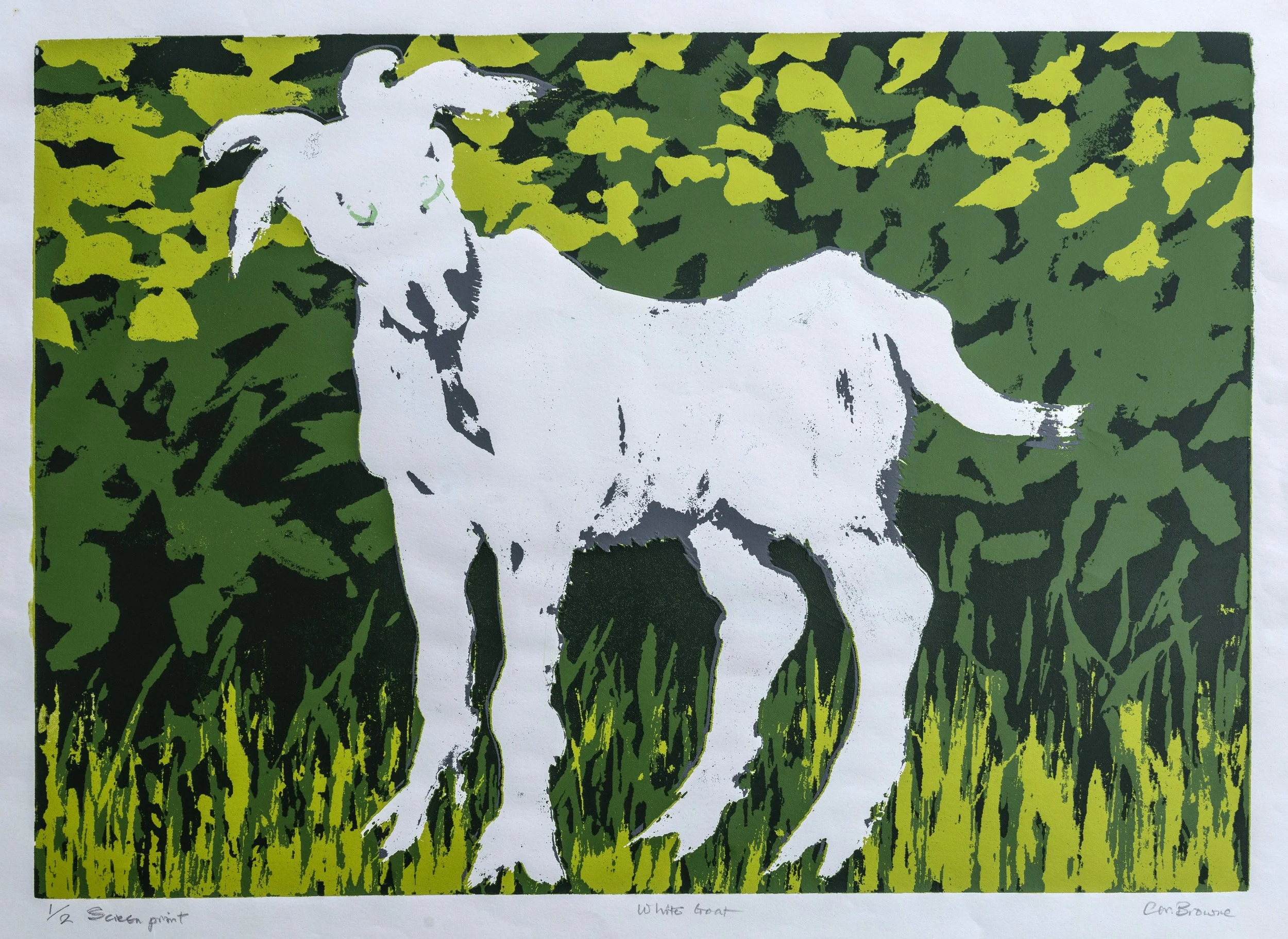 19 : Screenprint | "White Goat"
