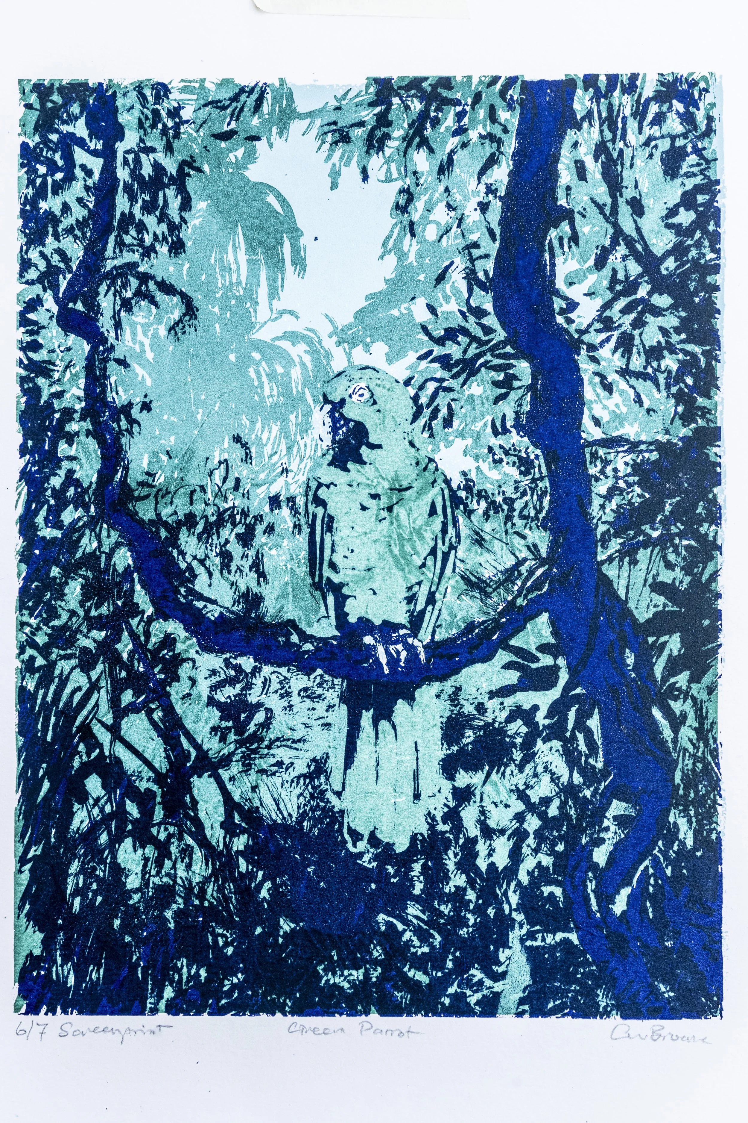 46 : Screenprint | "Green Parrot"