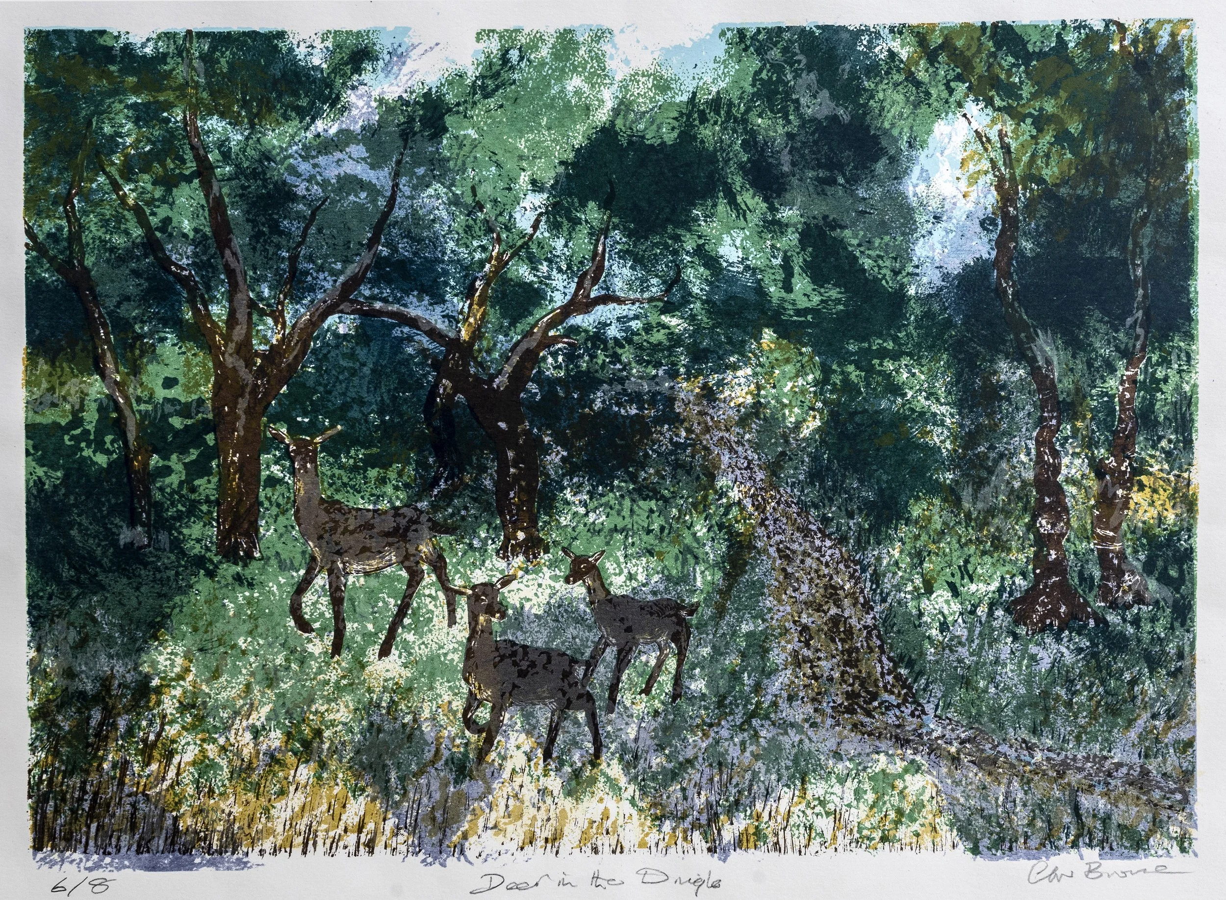 97 : Screenprint | "Deer in the dingle"