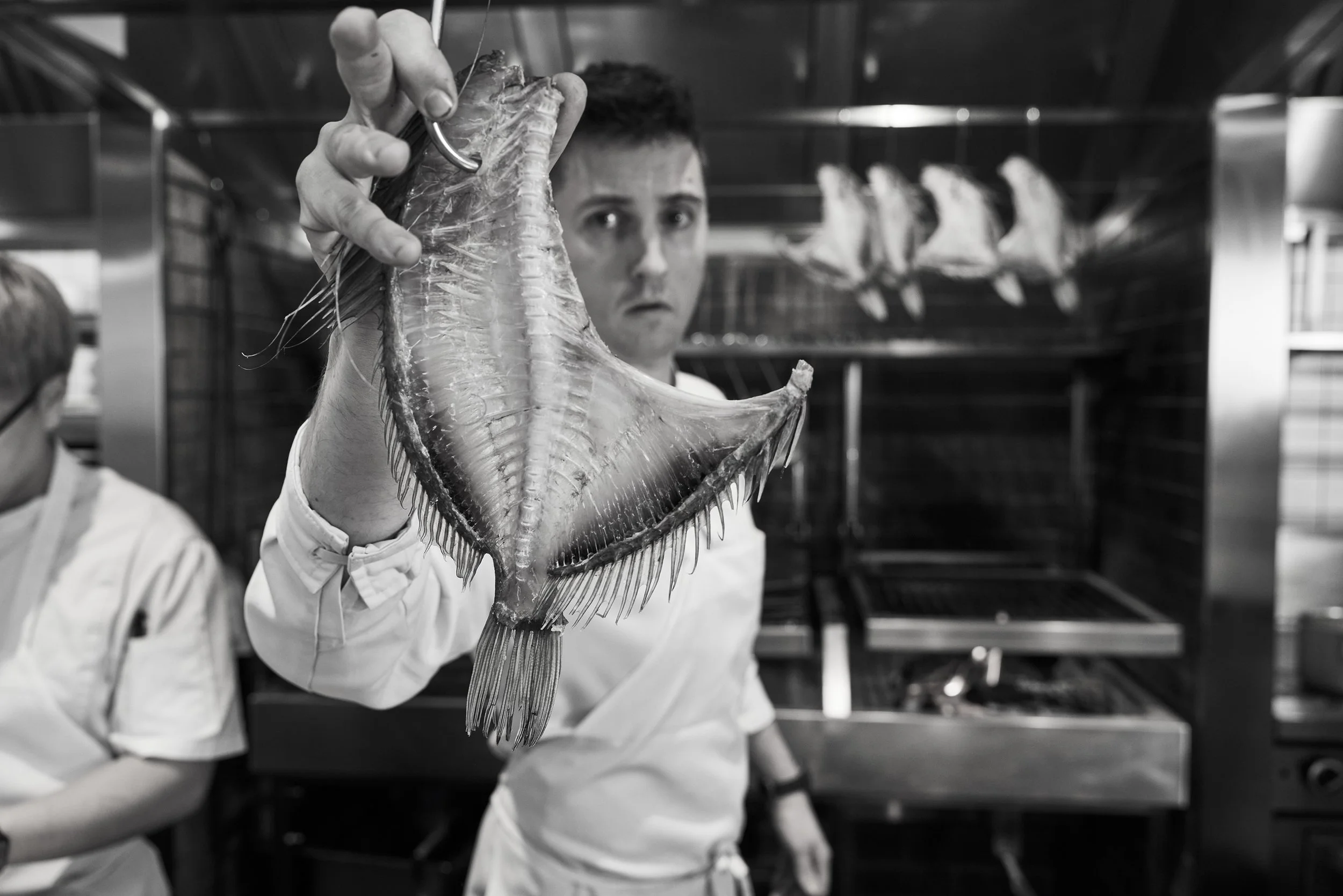 Josh Niland Archie Rose1230 1.jpg