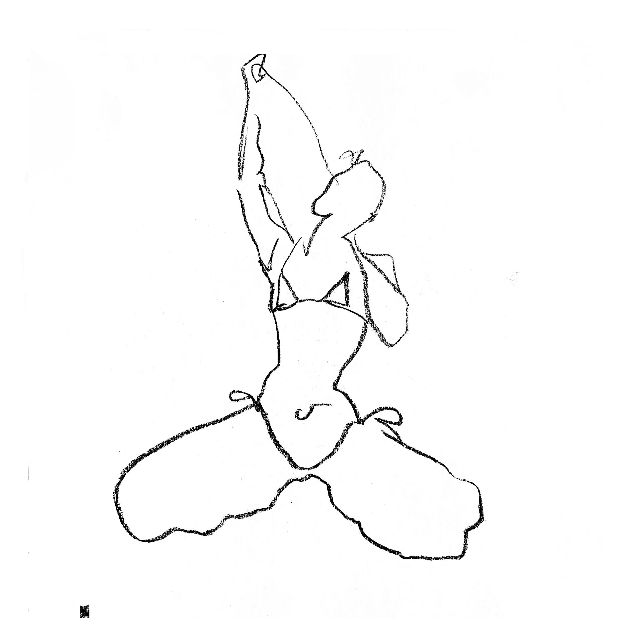 Square women pulling bikini.jpg