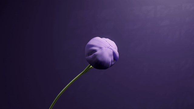 Purple_pe_V007_V09a_hqgif256_640_25.gif