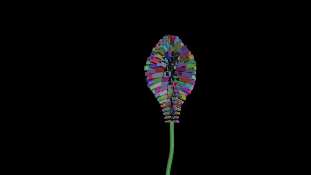 Purple_pe_V007b_hqgif256_640_25.gif