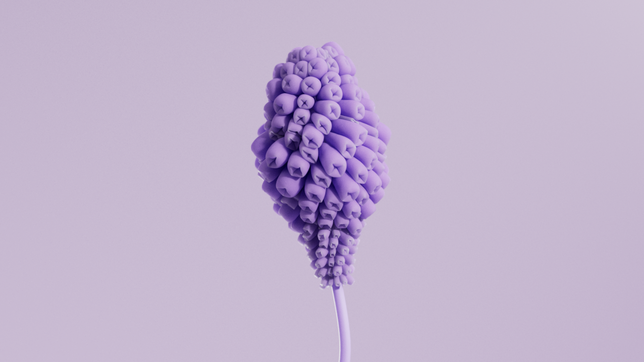 Flower_007_V02.png
