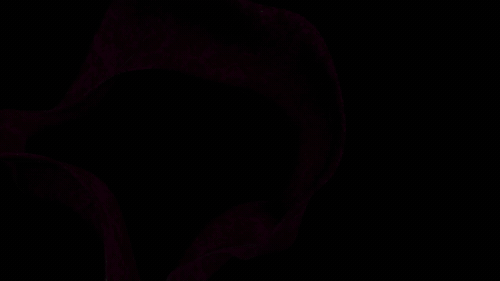 Grwoth_02.mp4_500px_HQ_25fps_.gif