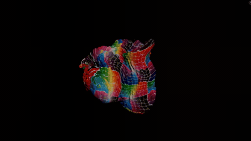 Diff_CurveGrowth_V004a.mp4_500px_HQ_25fps_.gif