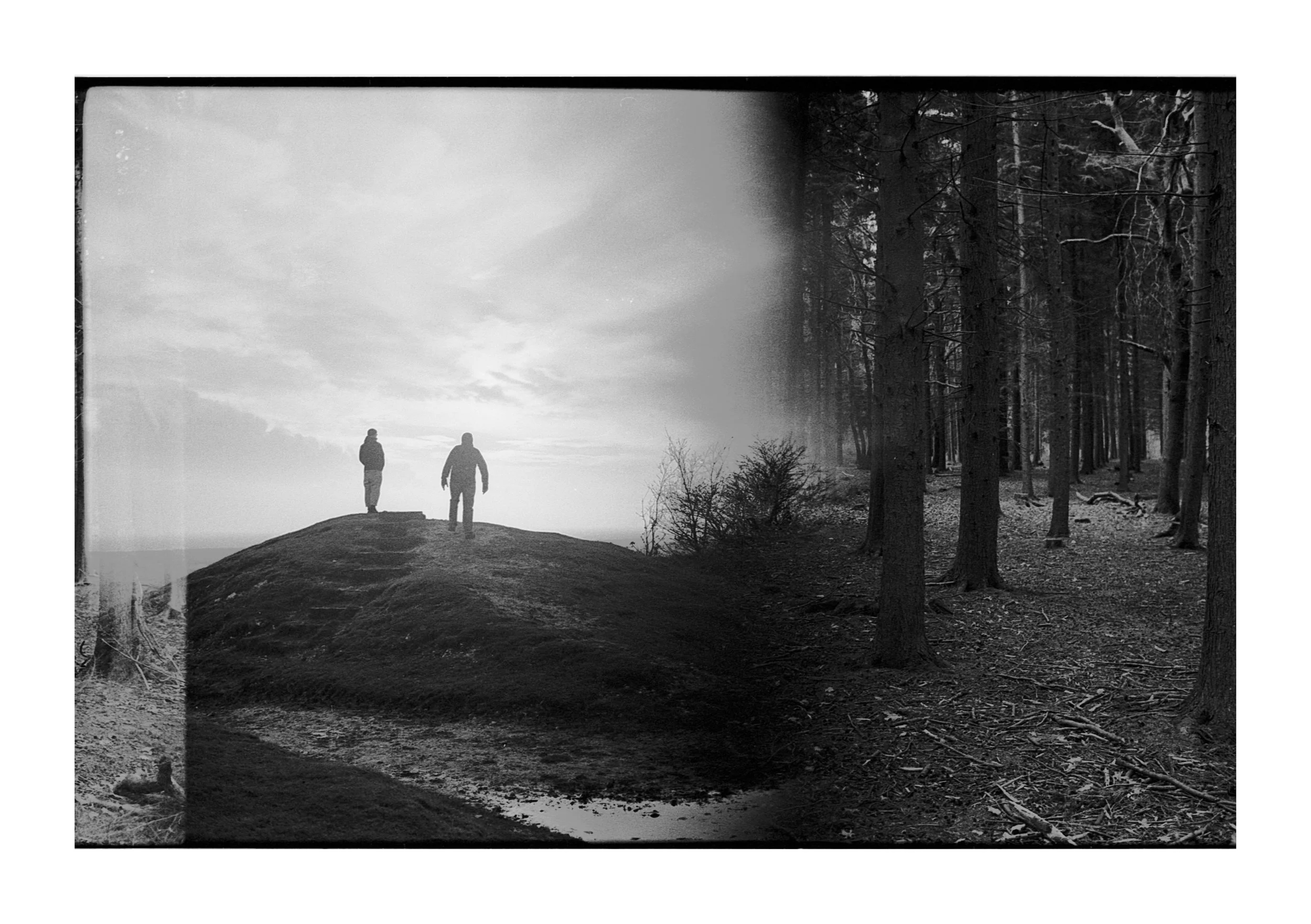 Black and white photo of two people standing on a small hill, overlooking the landscape with a cloudy sky, on the left side, and a dense forest with tall trees on the right side.