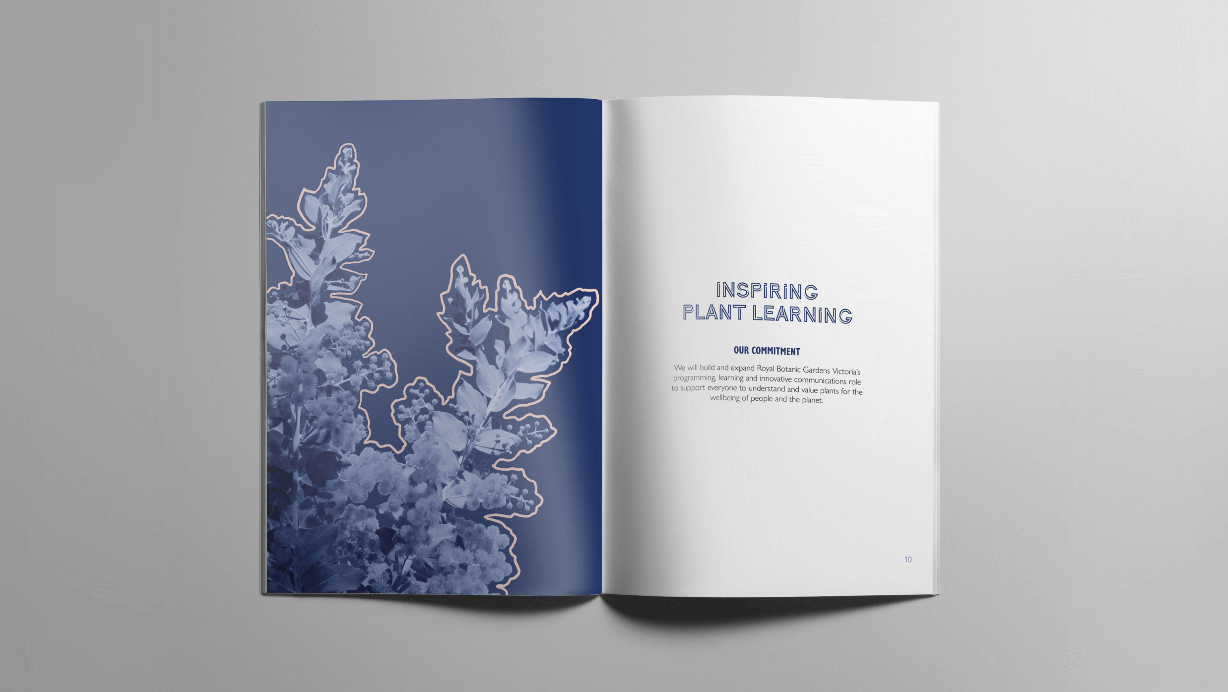 RBGV Annual Report - Image 3.png