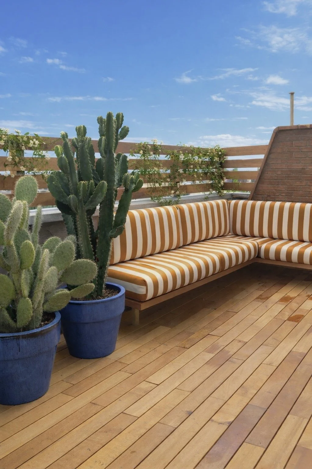 Terrasse%20ensoleille%CC%81e%20avec%20plantes%20et%20banc_VSCO.jpg