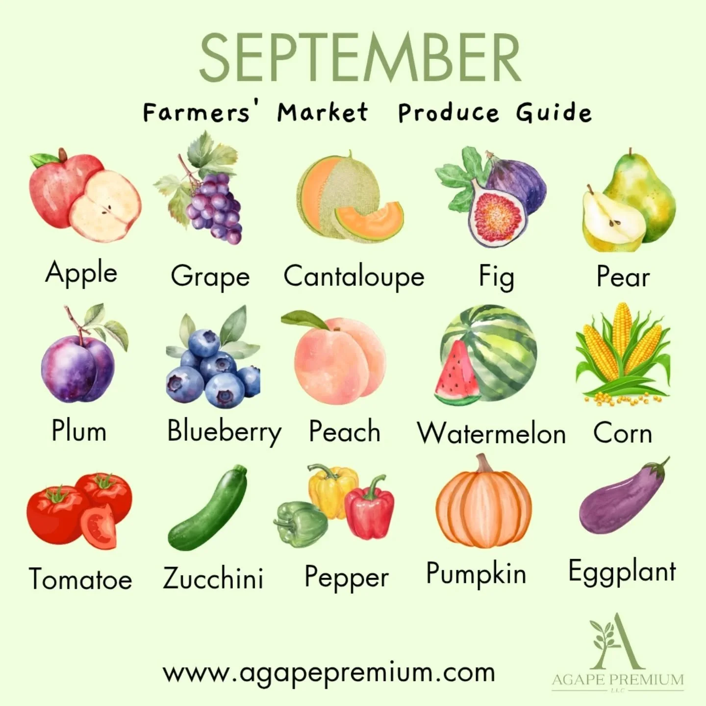 🫑🍅🌽September is one of my favorite months at the farmers&rsquo; market 🍎🍇 There&rsquo;s such a good mix of late summer sweetness and early fall comfort. Think crisp apples, juicy figs, fresh corn, and even pumpkins starting to show up 🎃✨

If yo