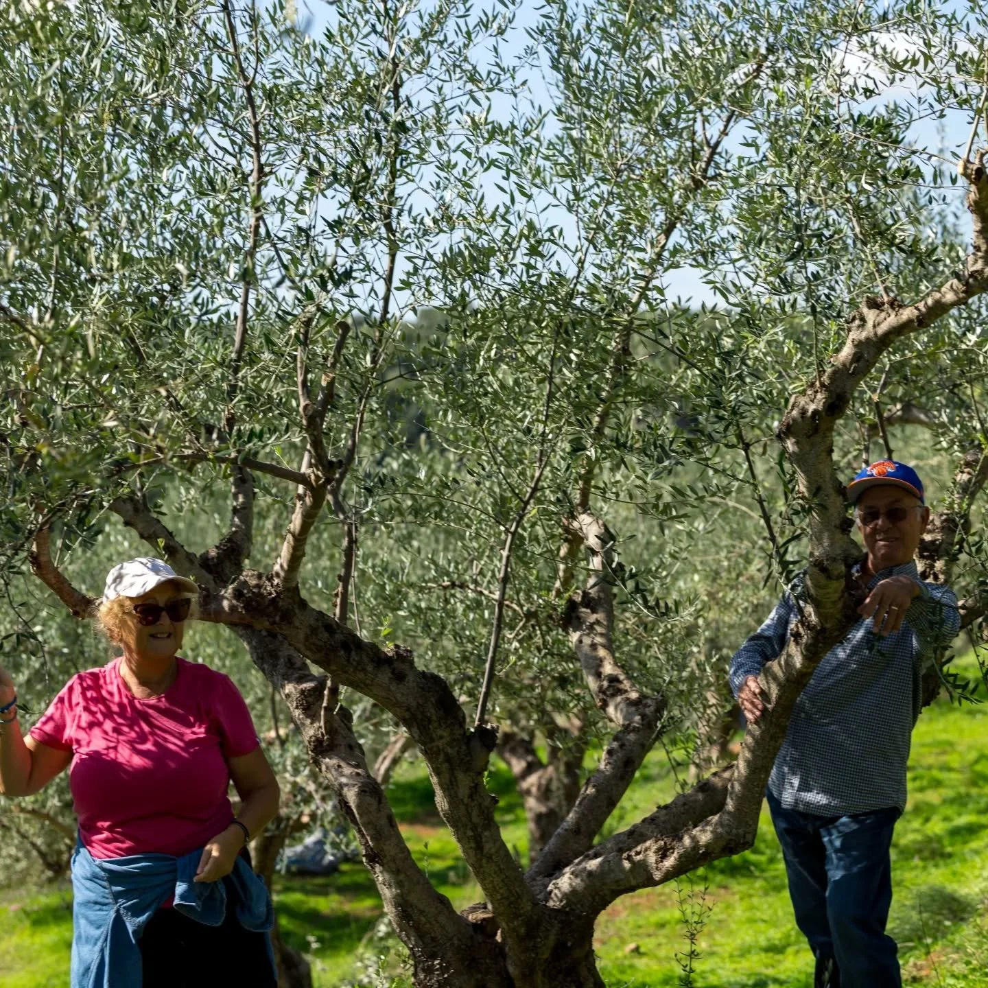 💚🫒 Agape Premium turns 2 today 🎂🫒💚

It's our 2nd birthday!!! 

Everything we do started 16+ years ago with Demetra Kontoulis Bouras and her husband Athanasios , who came  to Westchester County farmers markets with their own  #extravirginoliveoil