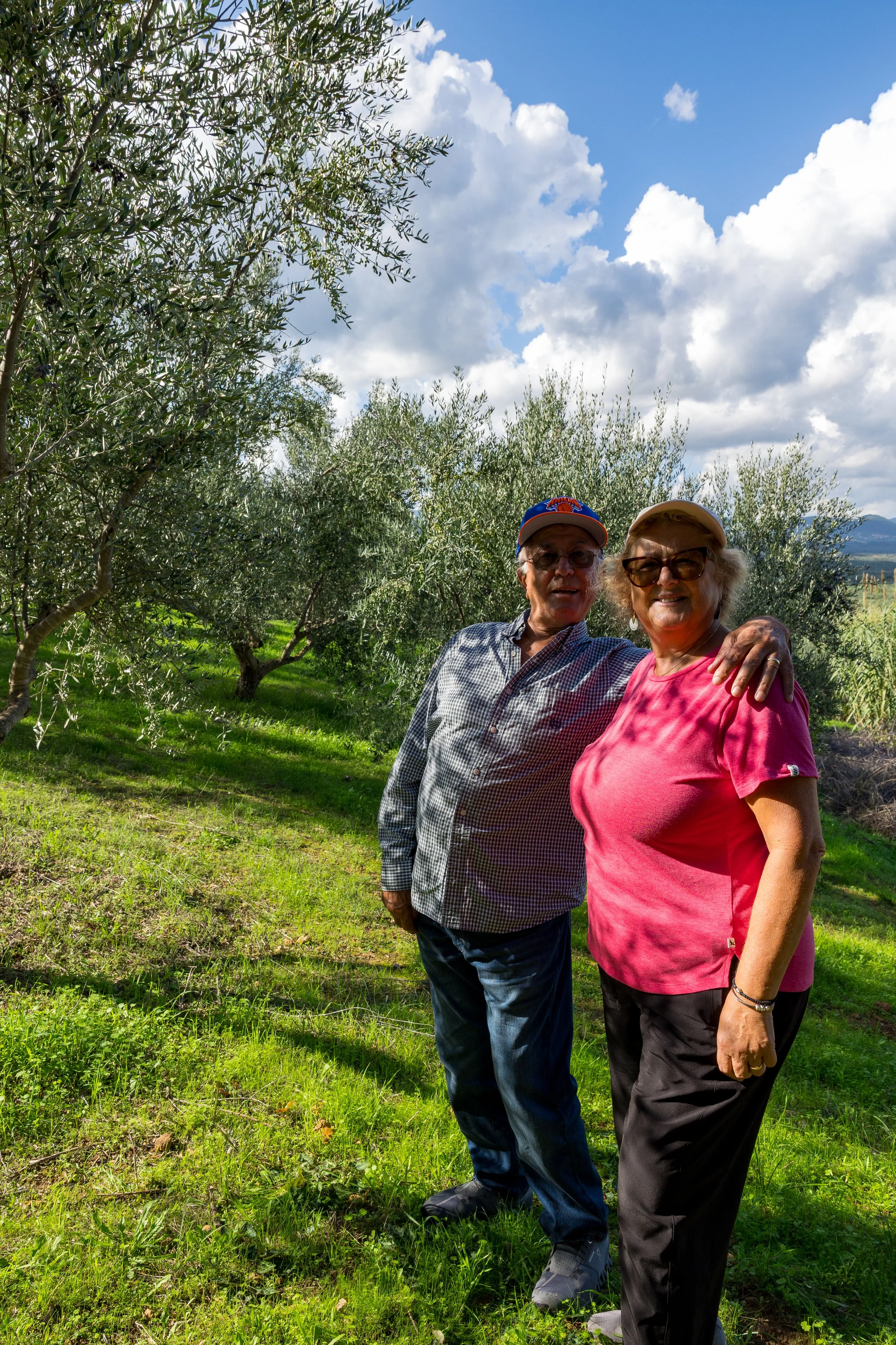 Demetra Kontoulis Bouras and Athanasios Bouras IN KONTOULIS FAMILY OLIVE GROVES IN MESSINIA GREECE FAMILY HARVEST OLIVE OIL SINGLE ORIGIN SHARED AT NY FARERS MARKETS OLIVE OIL