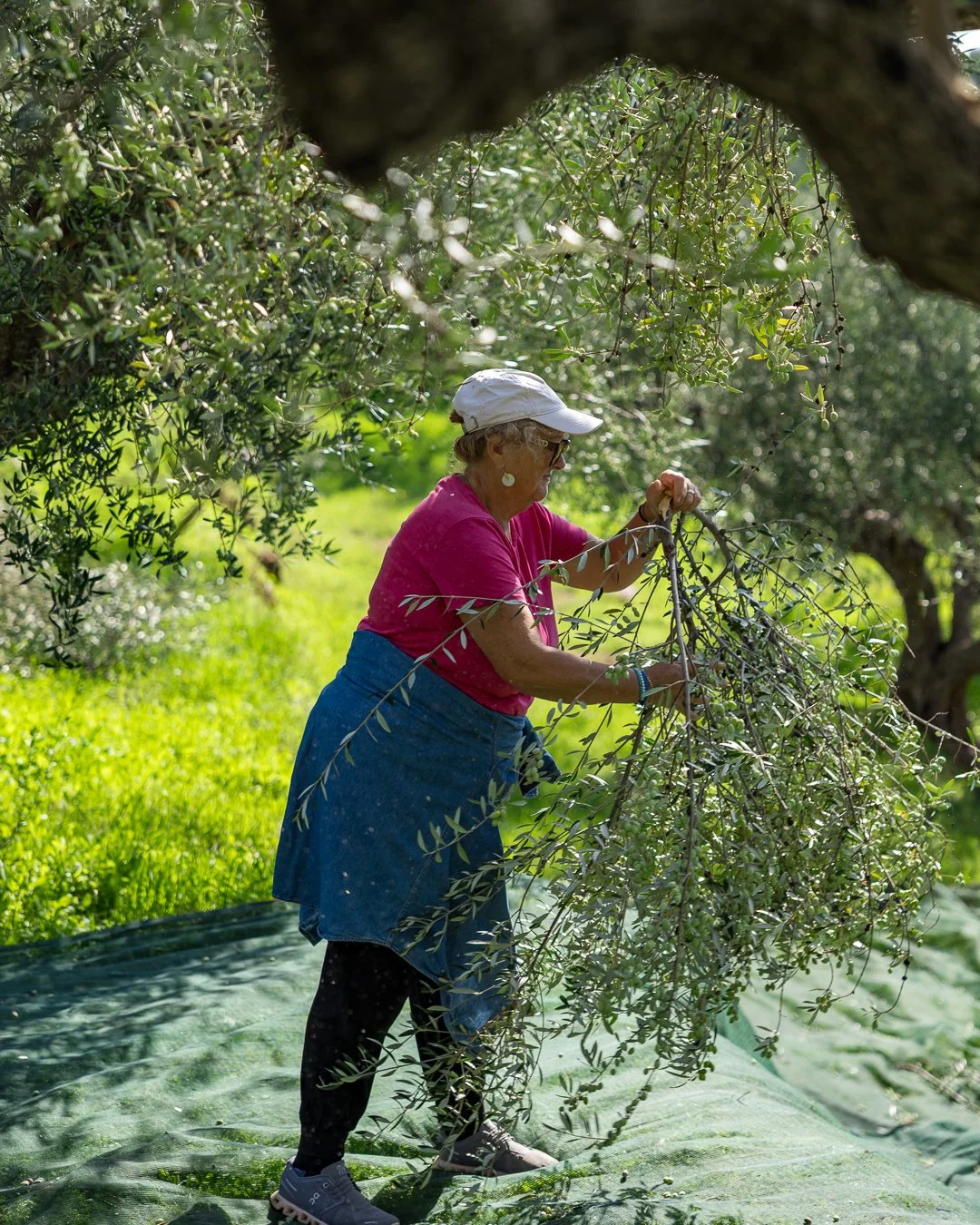 Demetra Kontoulis Bouras