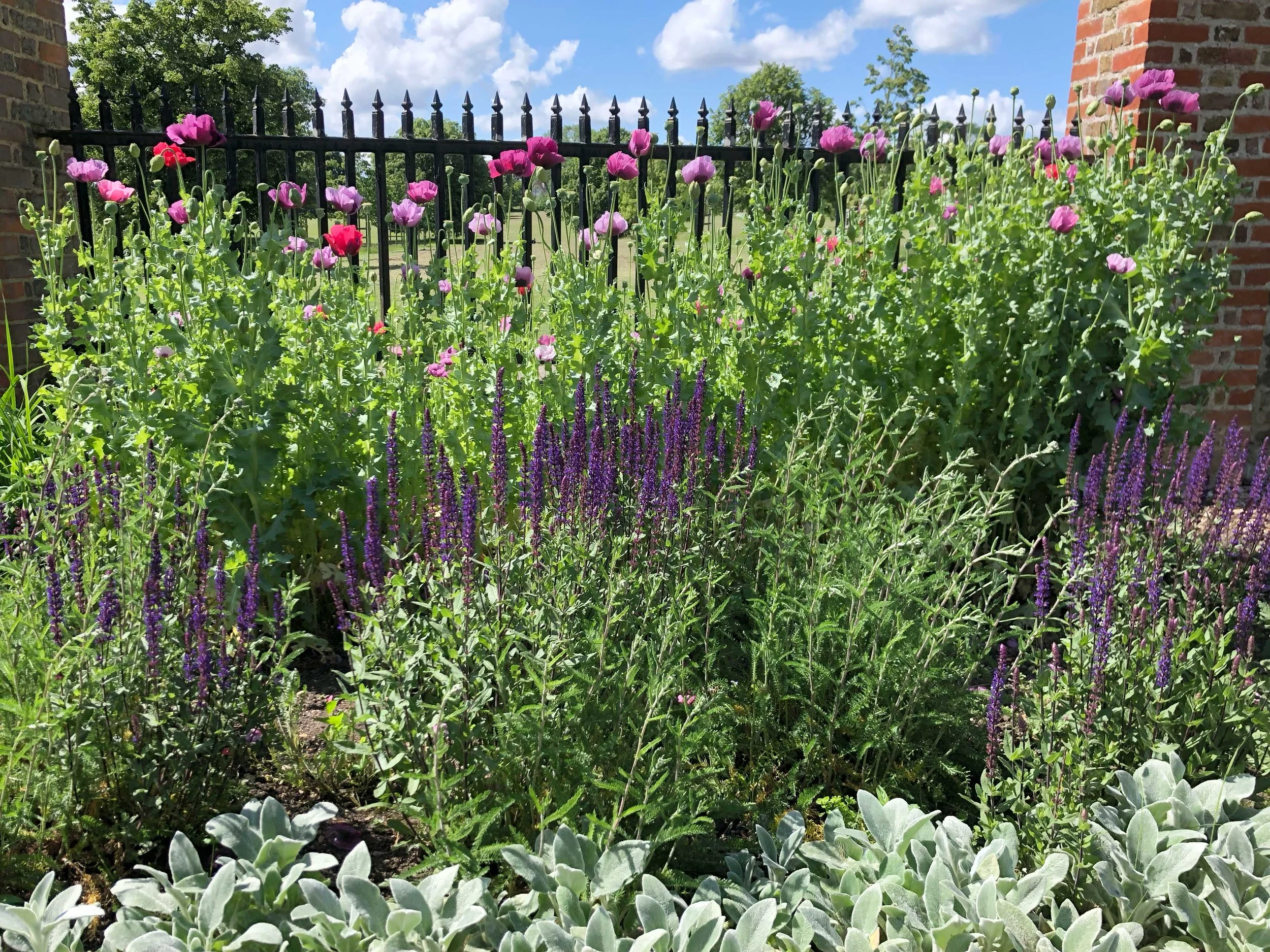 Layering the planting adds interest from low to high view