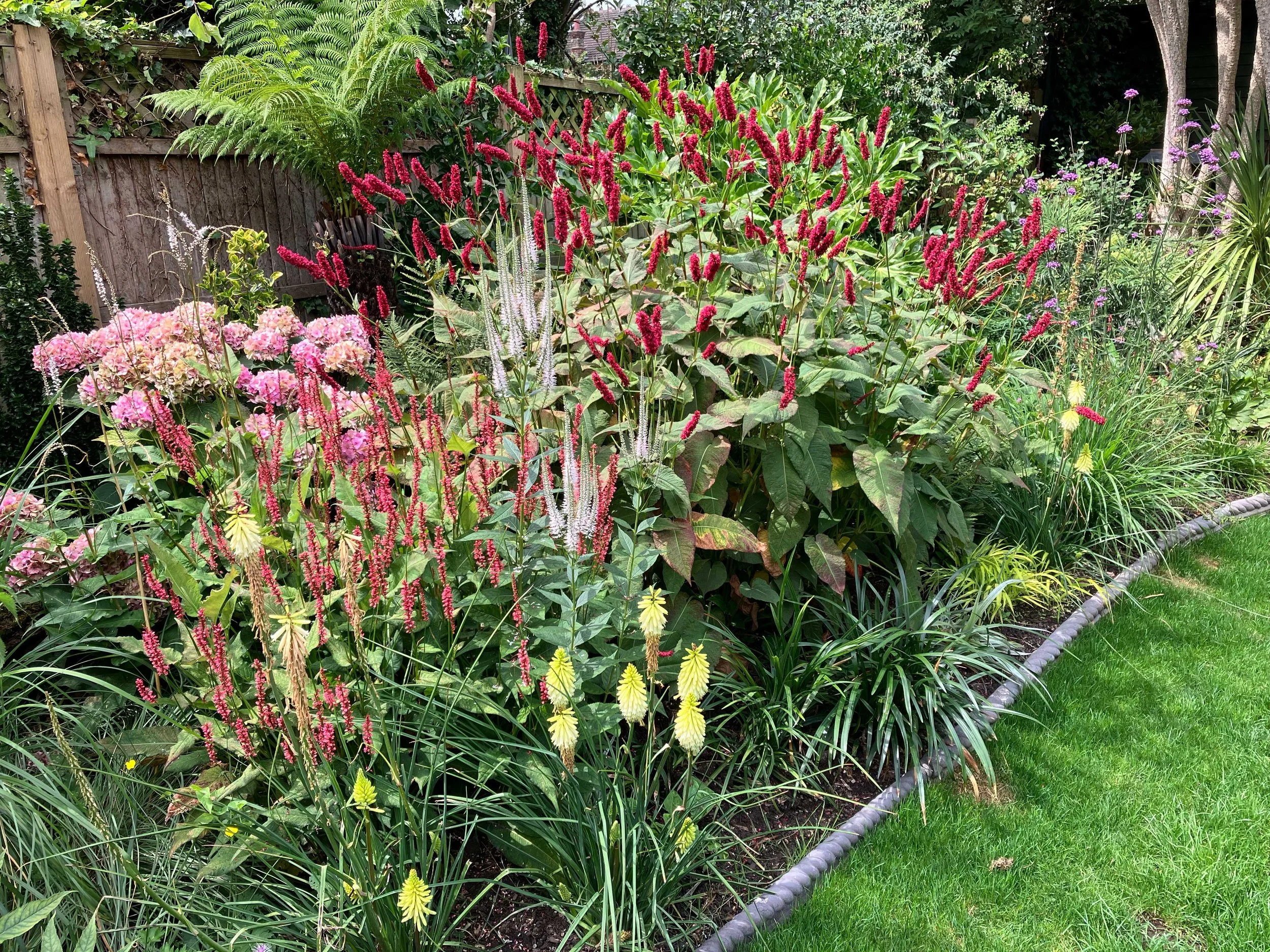Warm & hot border planting