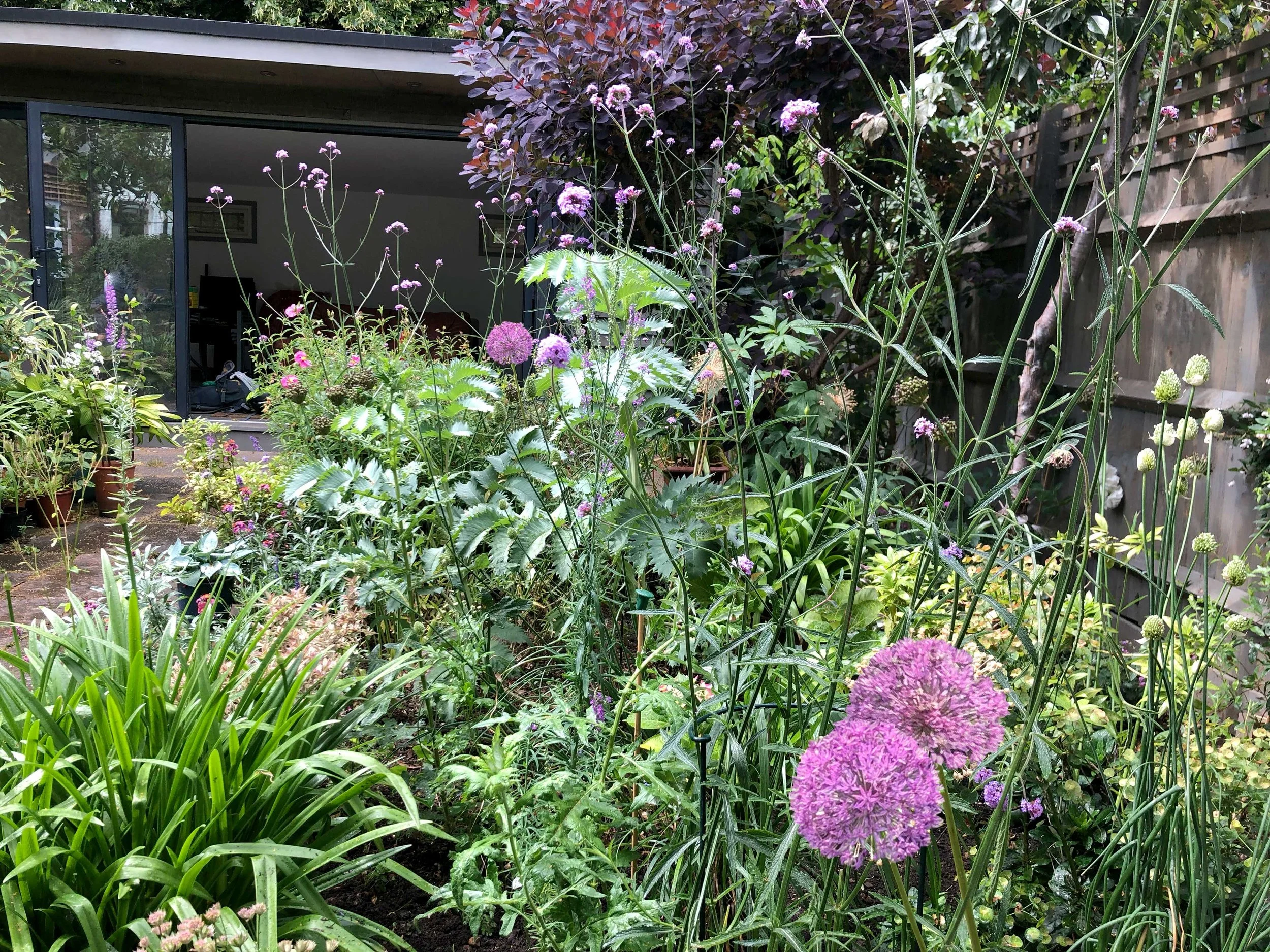 A modern garden displaying new planting ideas with a cool colour palette of purple alliums and grey green foliage with a summer house at the end of the garden. 