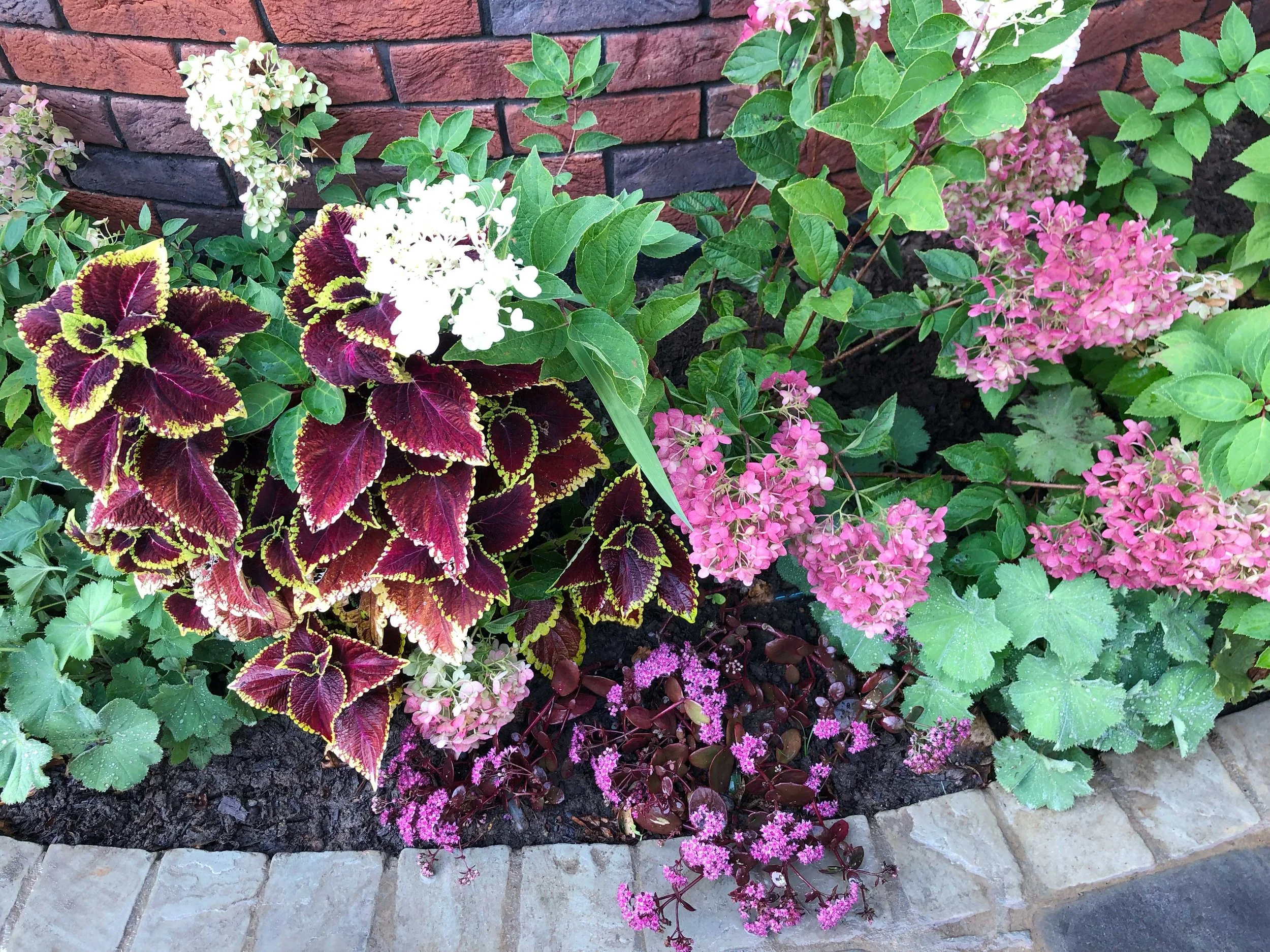 Border planting and hedging soften the parking area