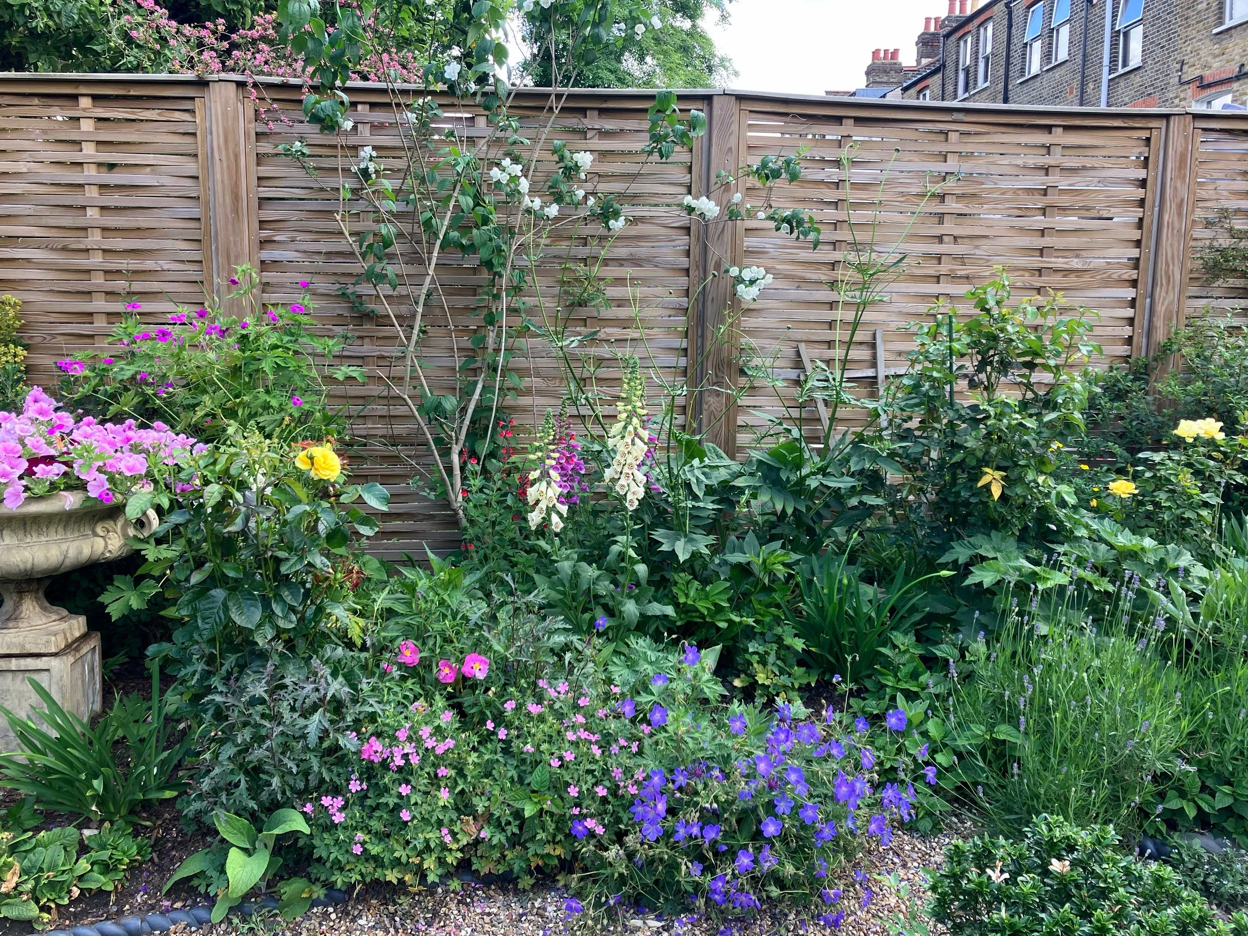 Creates a progression of colour across the seasons