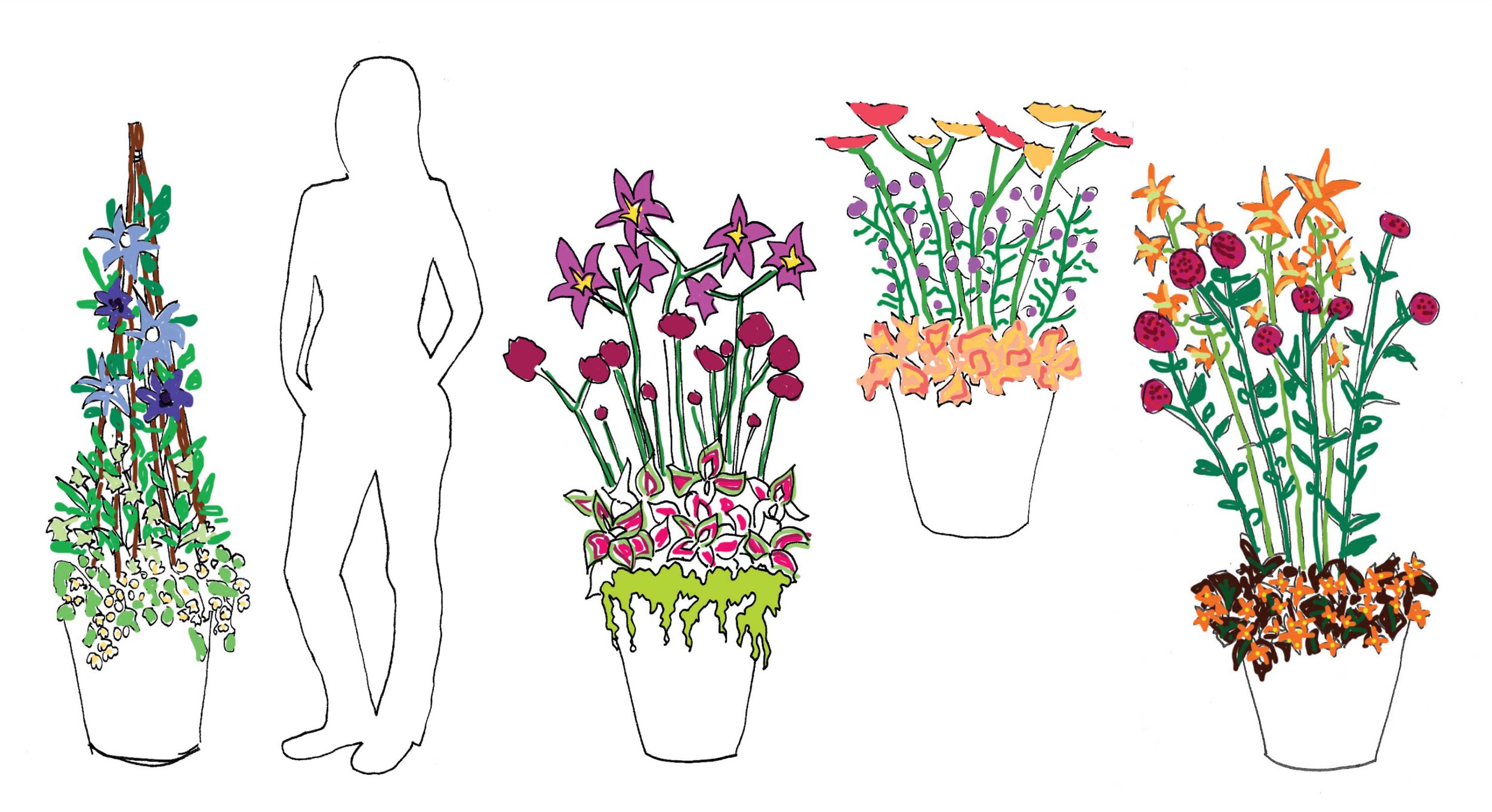 Planting ideas for pots and feature areas