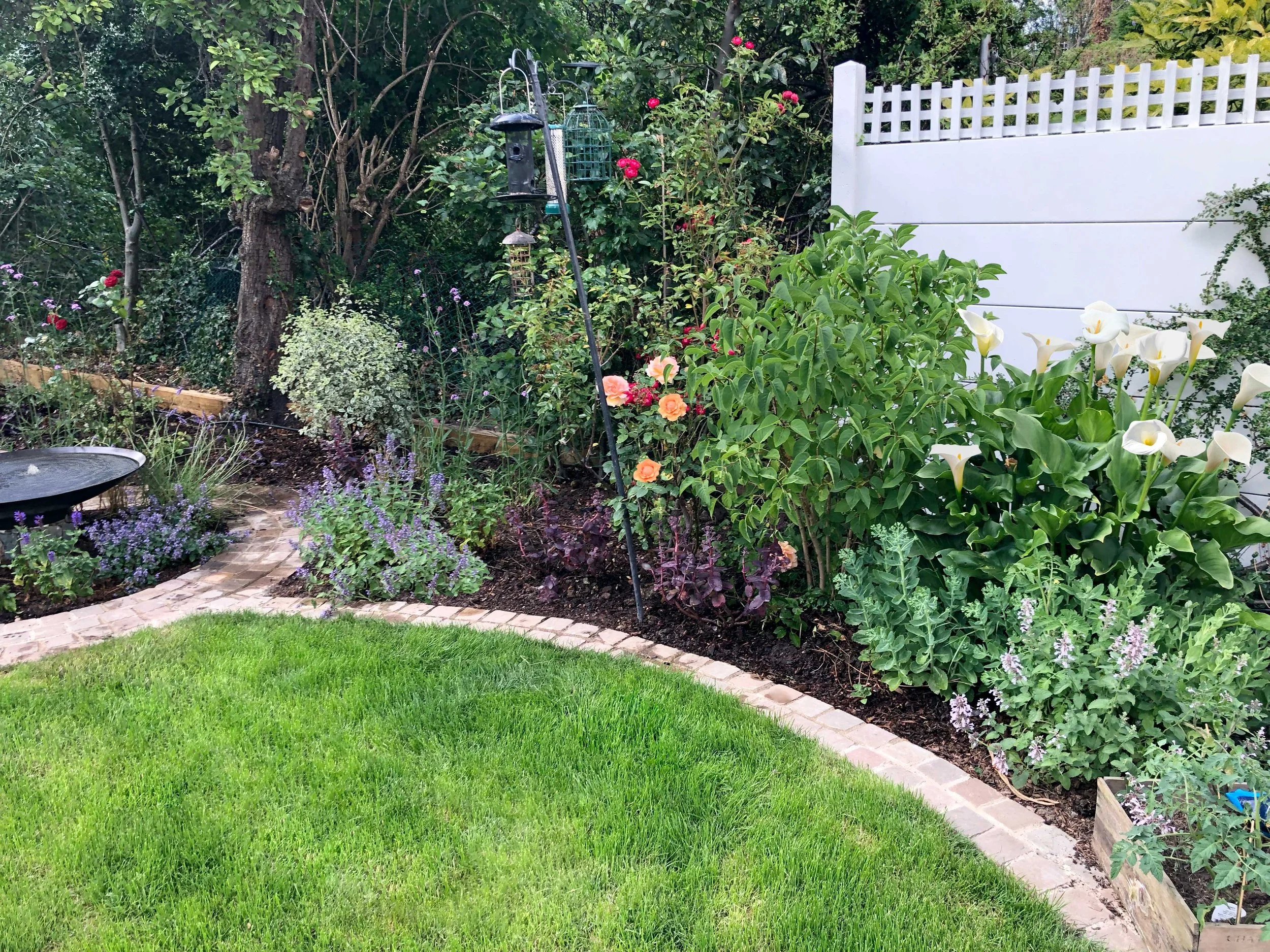 IMG_1225.jpg