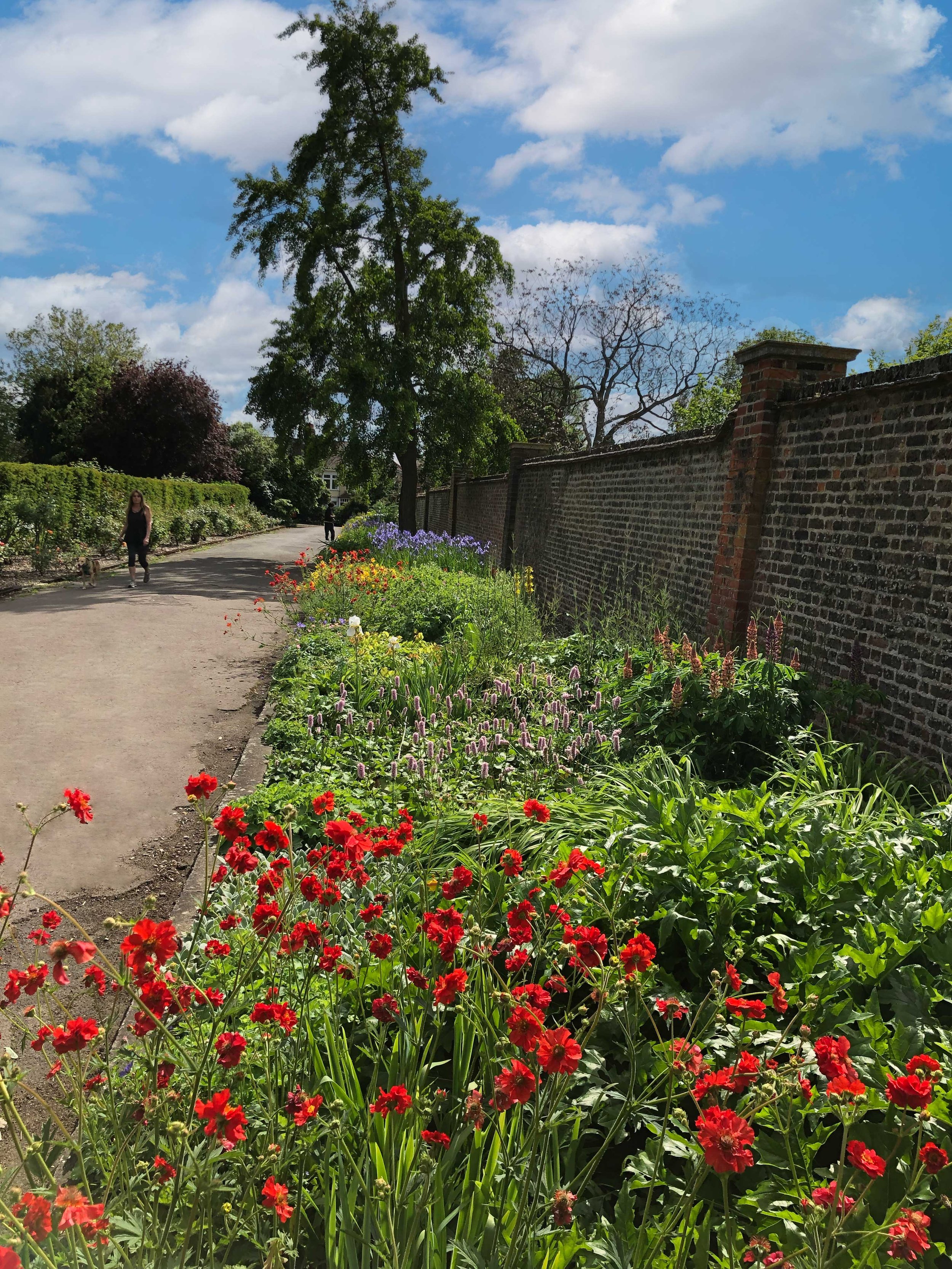 Hot colours help to segment the border at key locations and create natural pause points