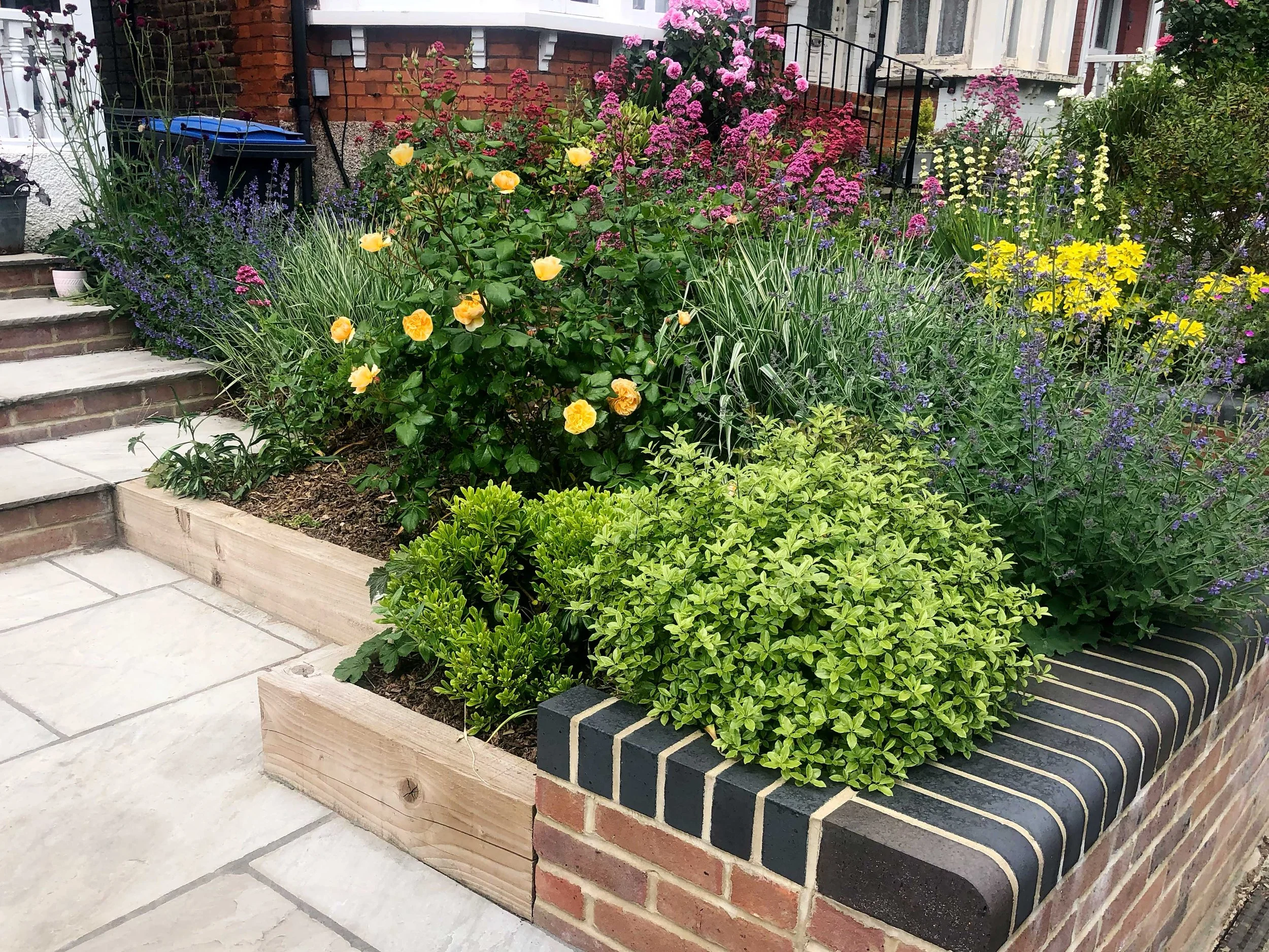 Repeat flowering sustains interest and joy in the garden planting