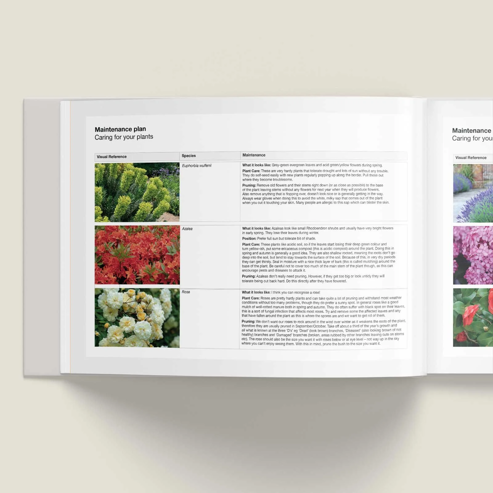 Garden maintenance schedules