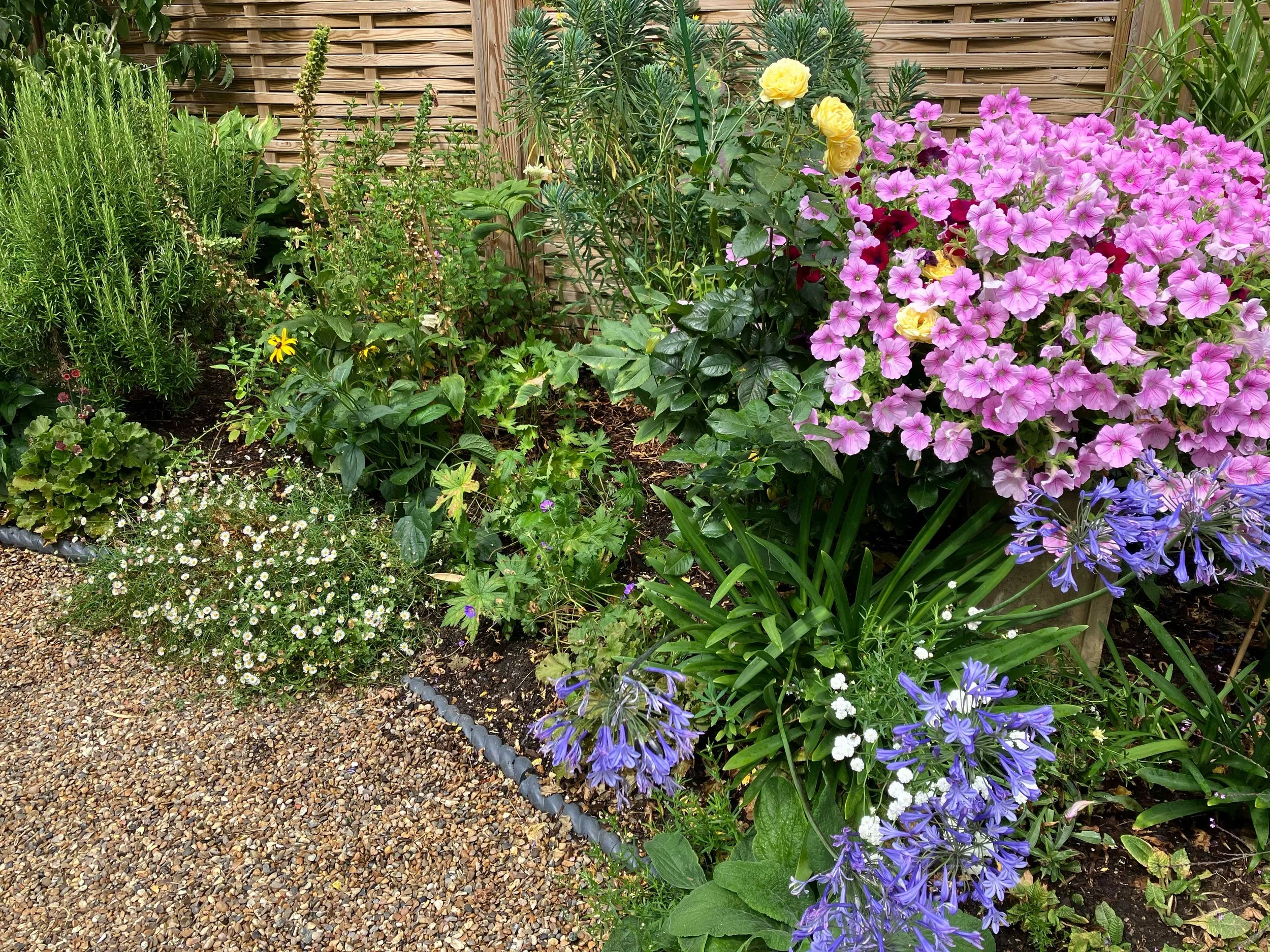 Pink flushes help balance the beds