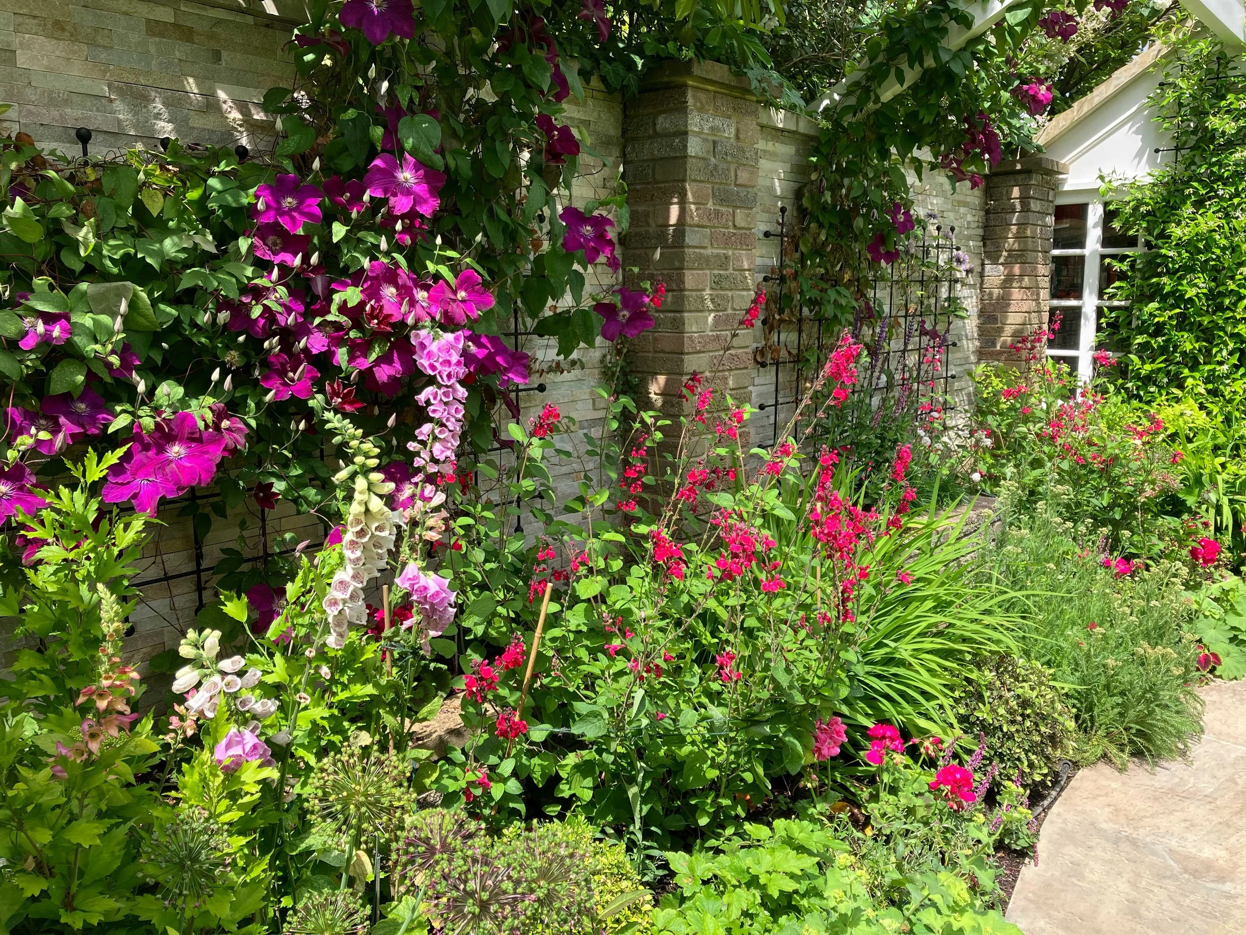 Rear wall is utilised for climbing plants 