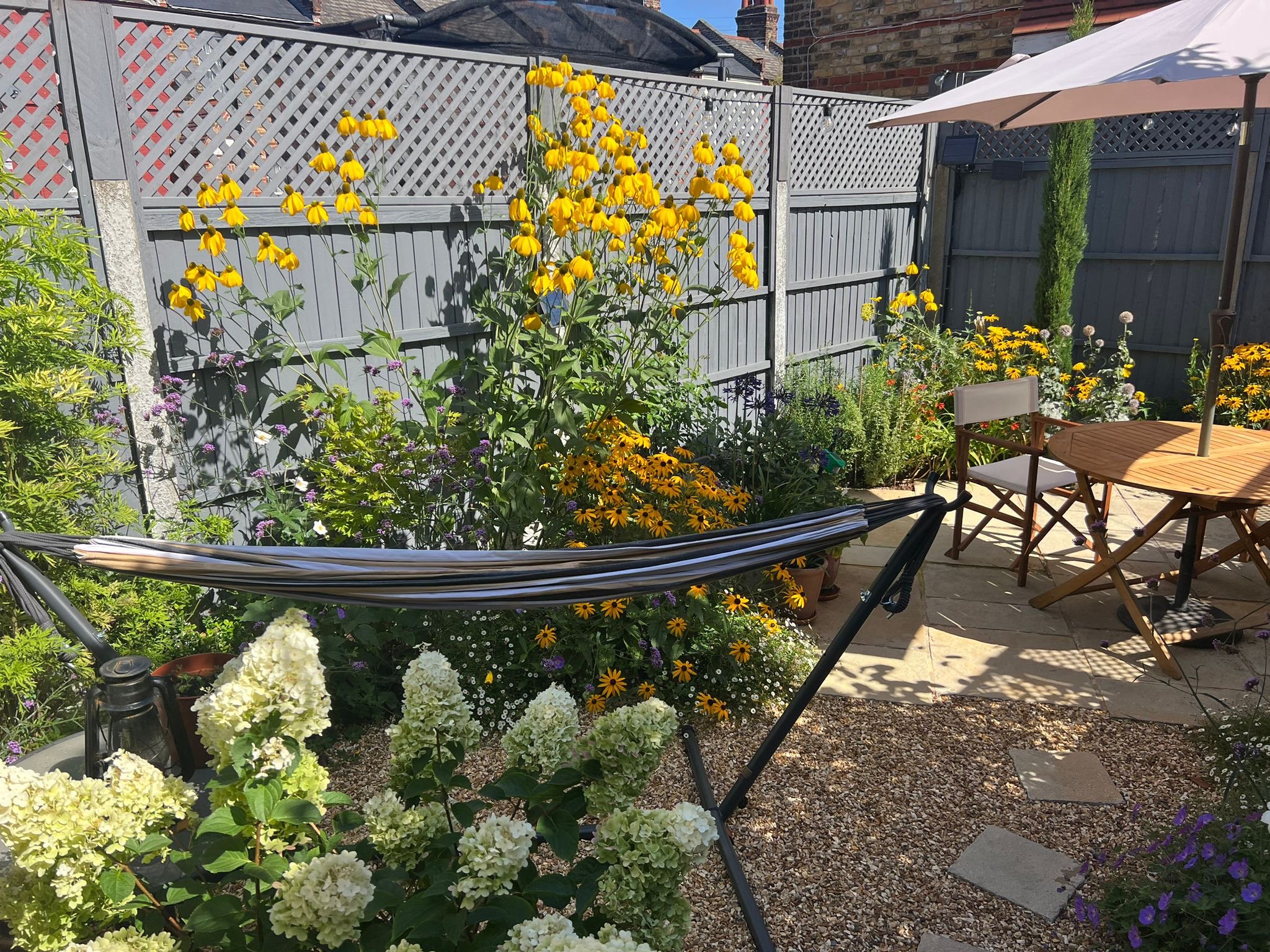 Social, vibrant garden design