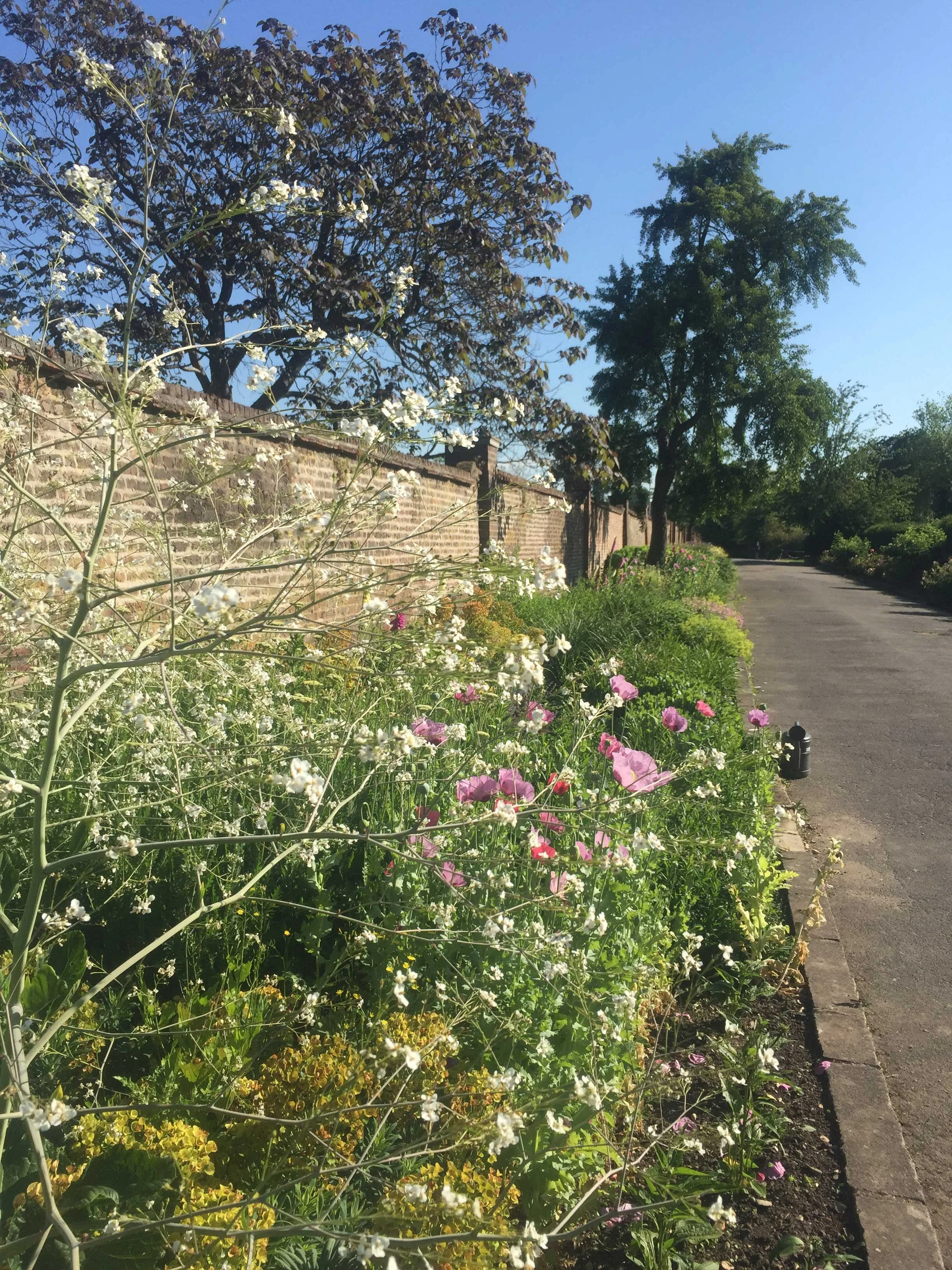 Tall, ethereal plants 'lift' the border and complement the listed wall