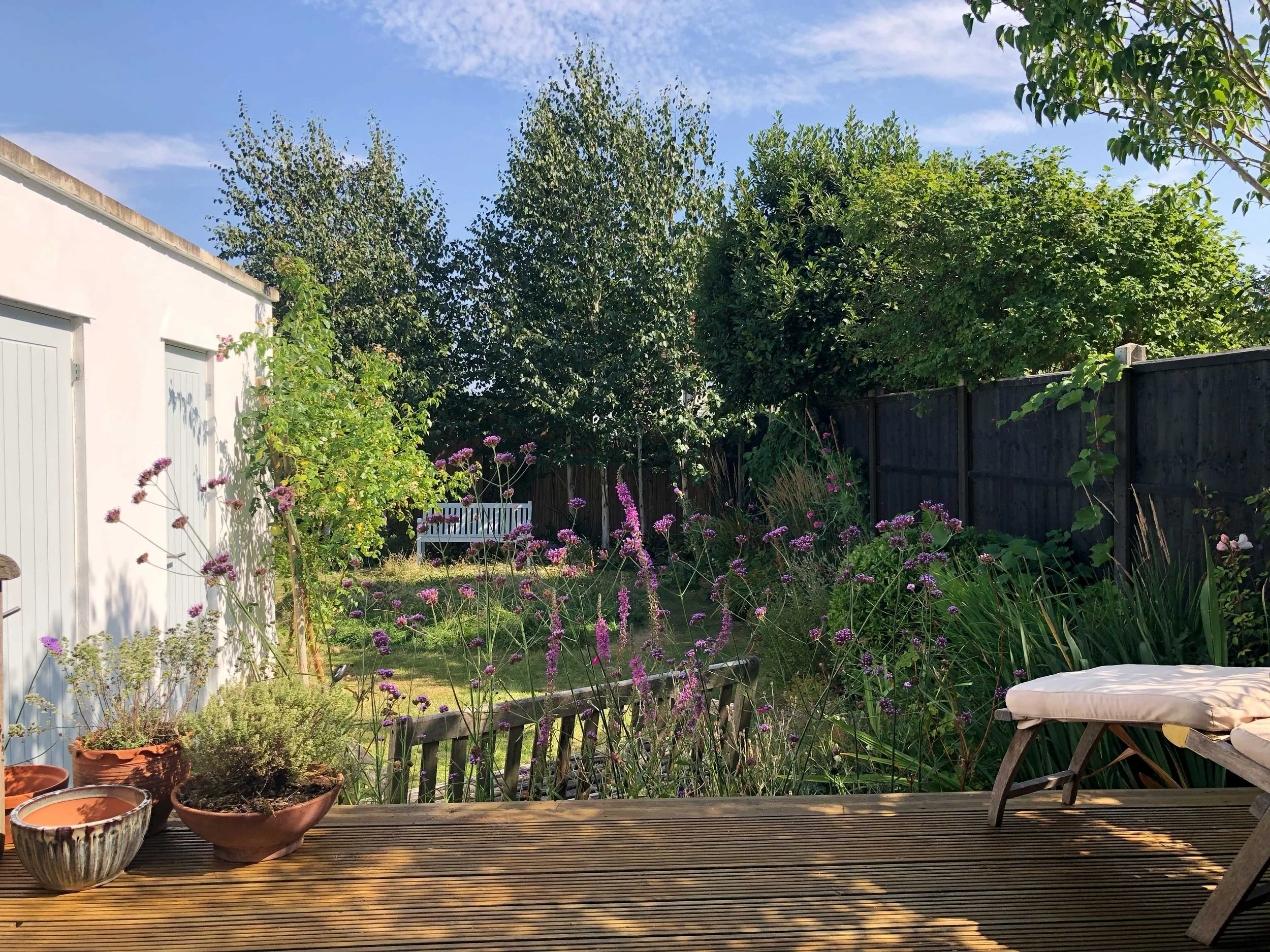 A garden with a deck overlooking the garden. Silver Birch provide shade at one end of garden design, while borders filled with colour all year round for pollinators fill the borders. Colourful containers are placed on the deck.