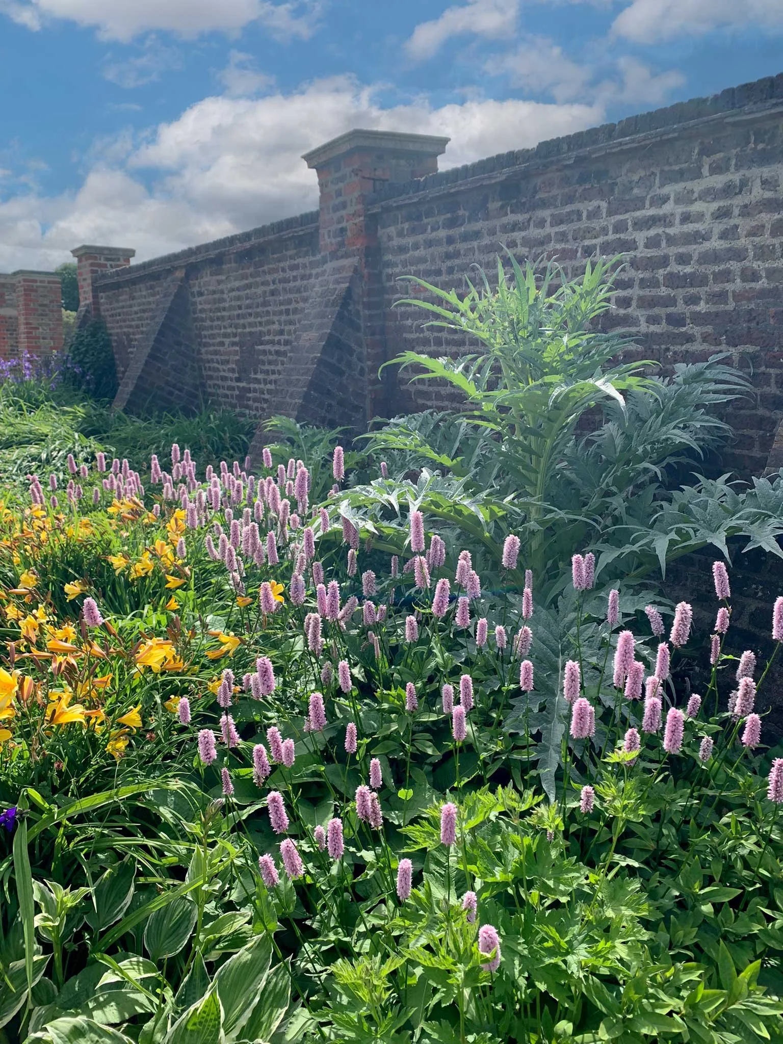 Elegant flower shapes and forms add interest