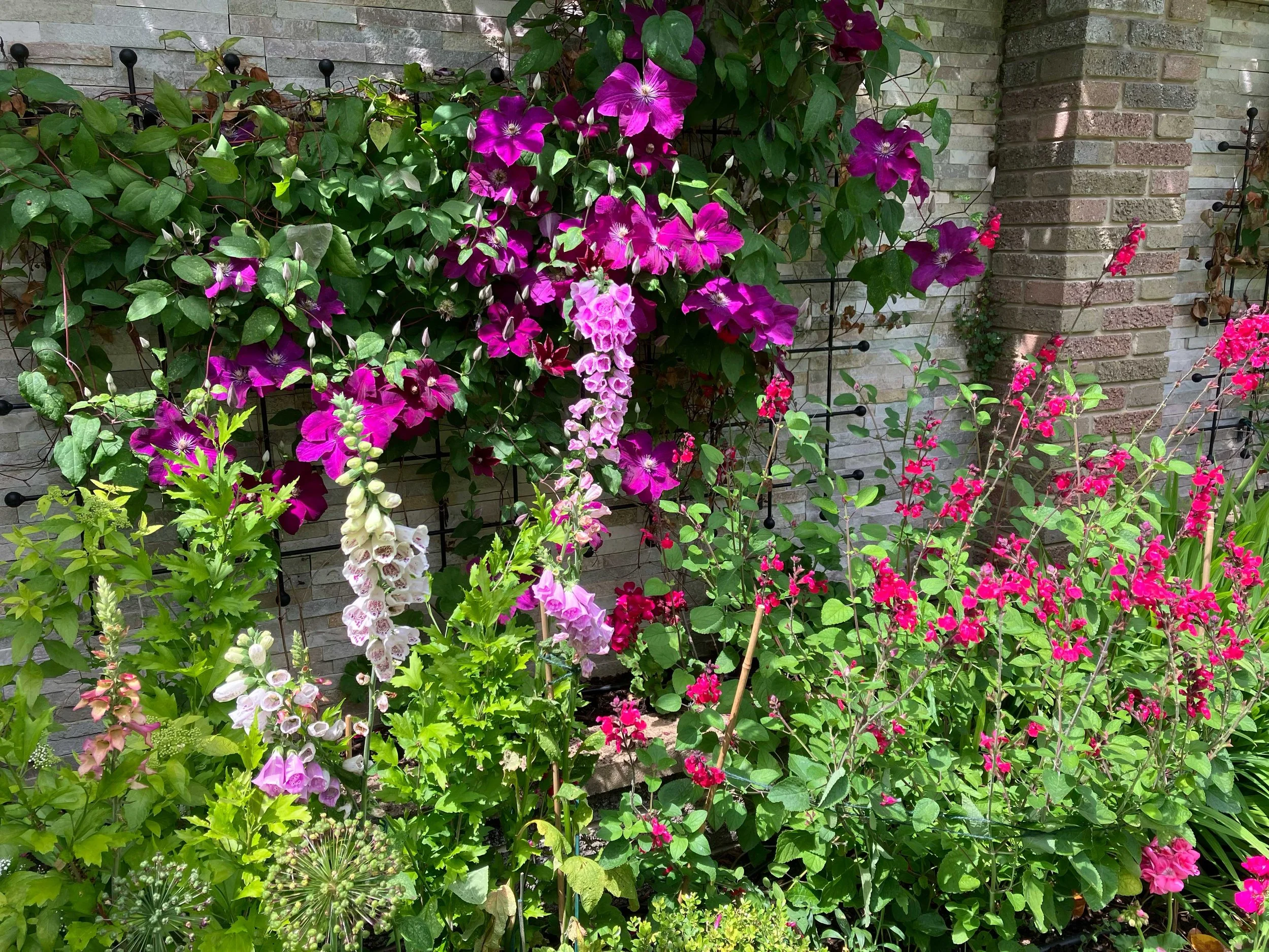 The strong, consistent colour palette for planting helps unify the scheme