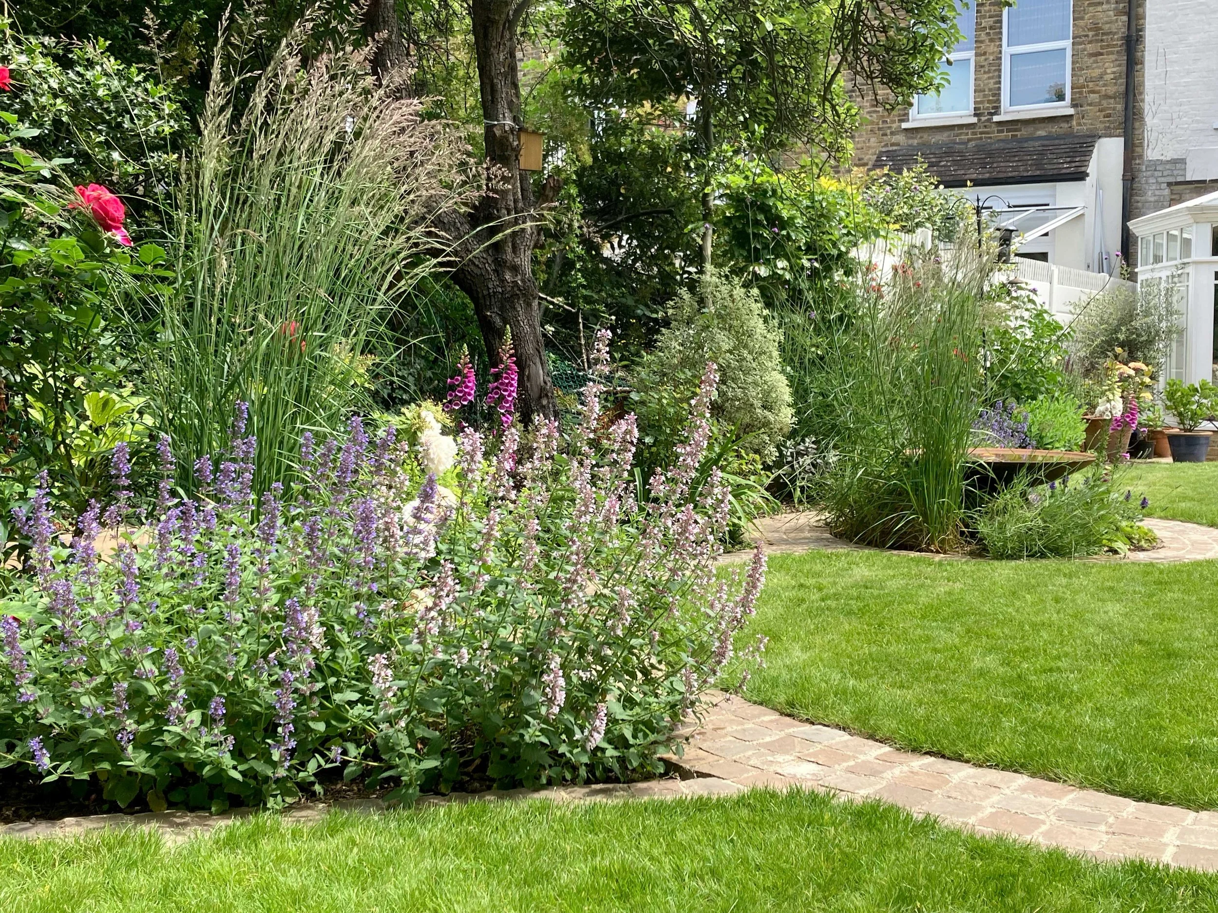 View of planting area through to water feature