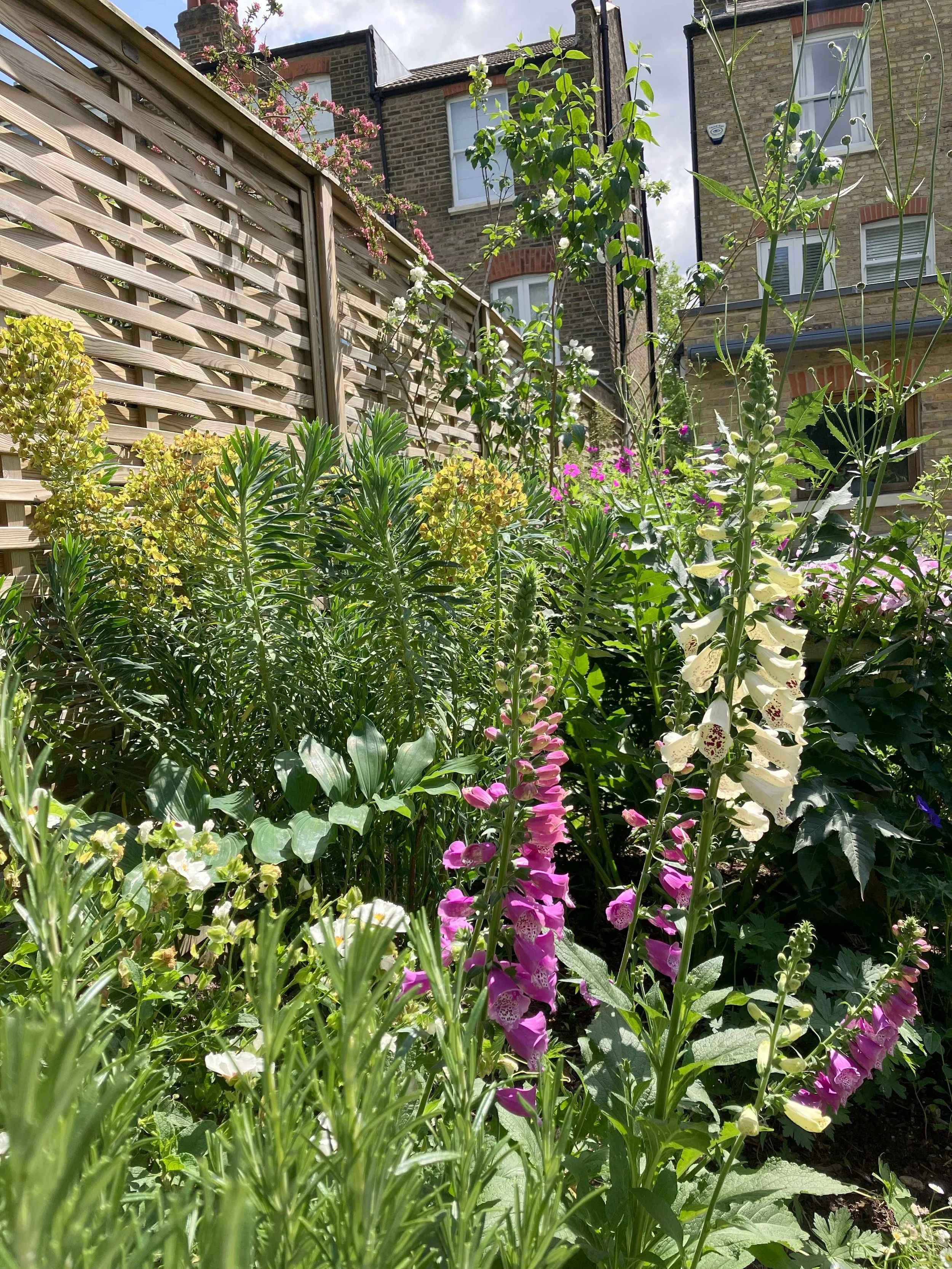 Back of beds feature taller planting