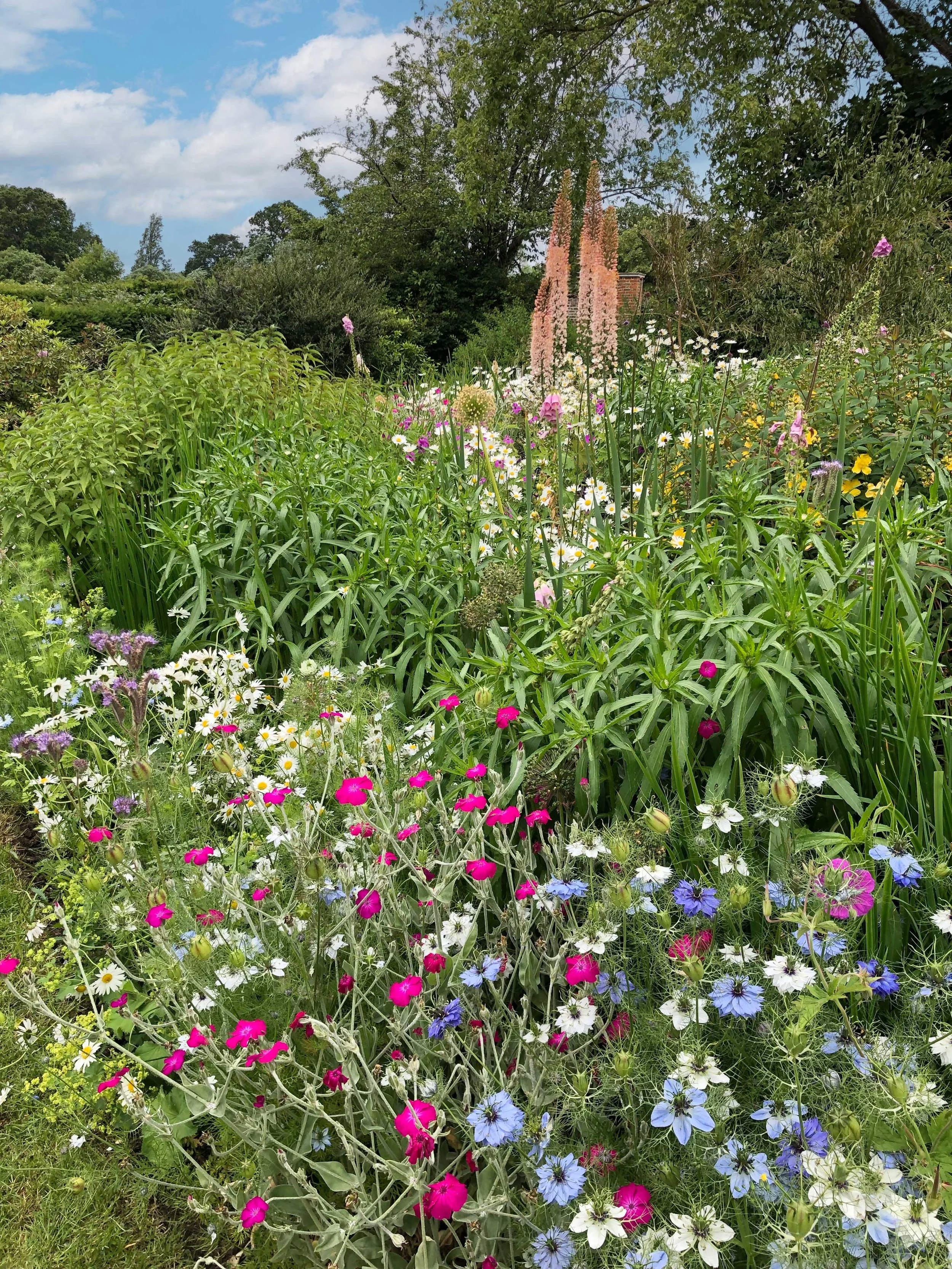 Central horseshoe bed