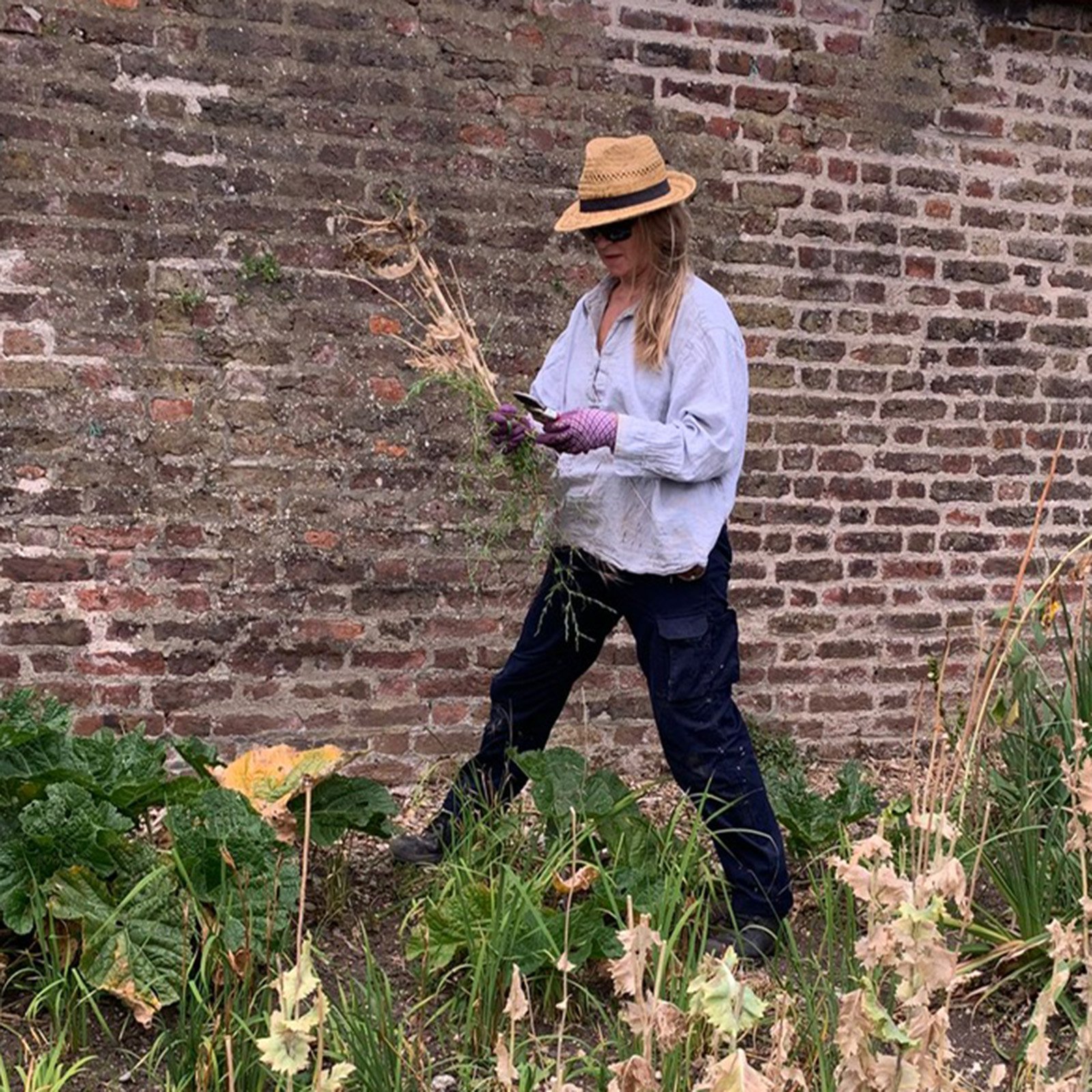 Garden designer Vic Black maintaining the plants in Broomfield Park's long border. Large scale planting of borders. Design of municipal park planting.