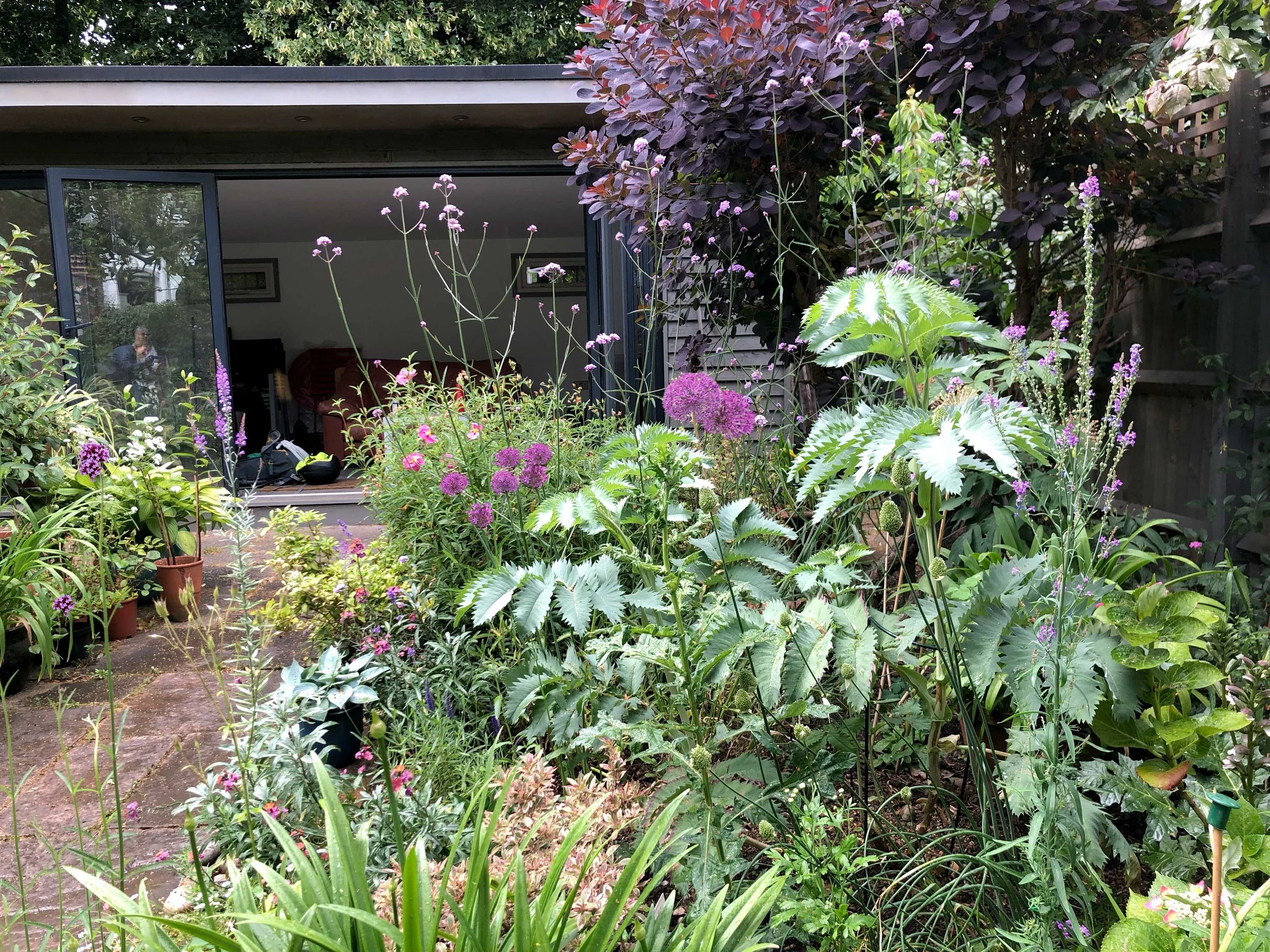Garden planting north London
