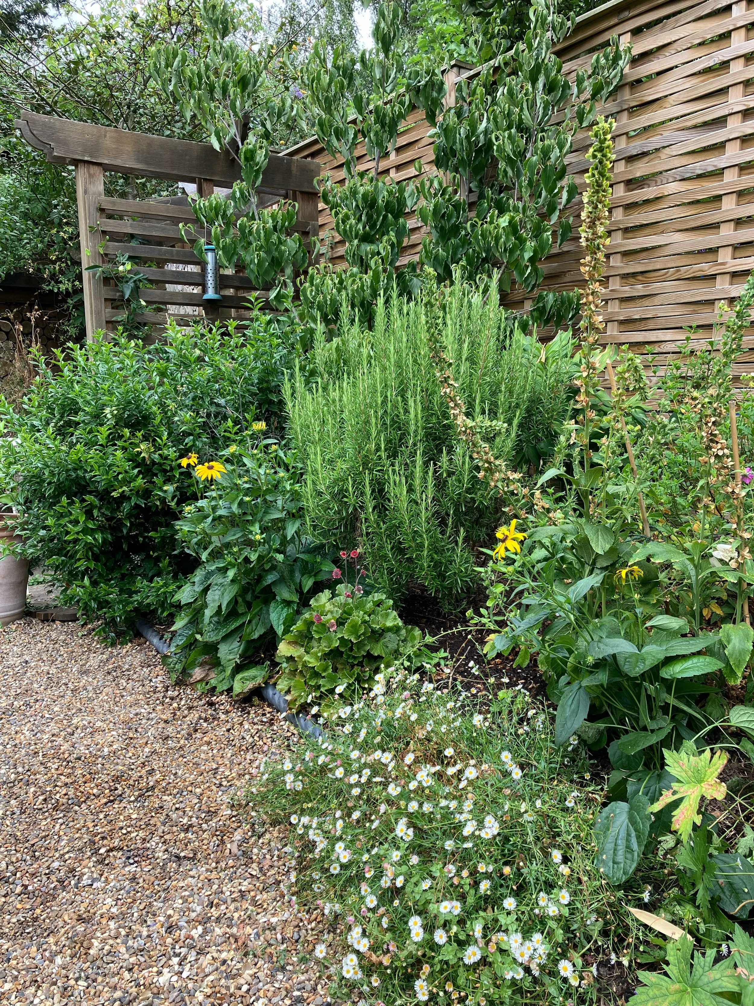 View through to pergola helps 'bracket' the bed