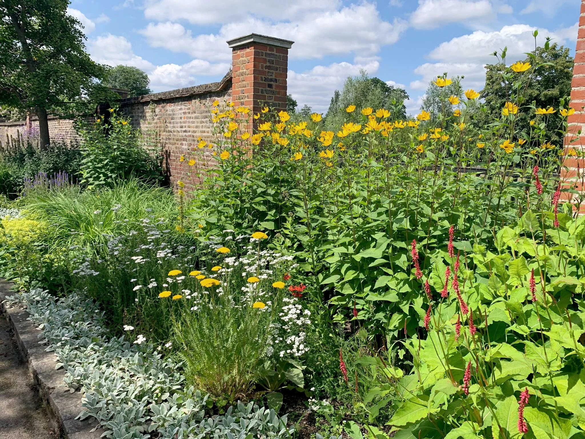 Entrance to the long border