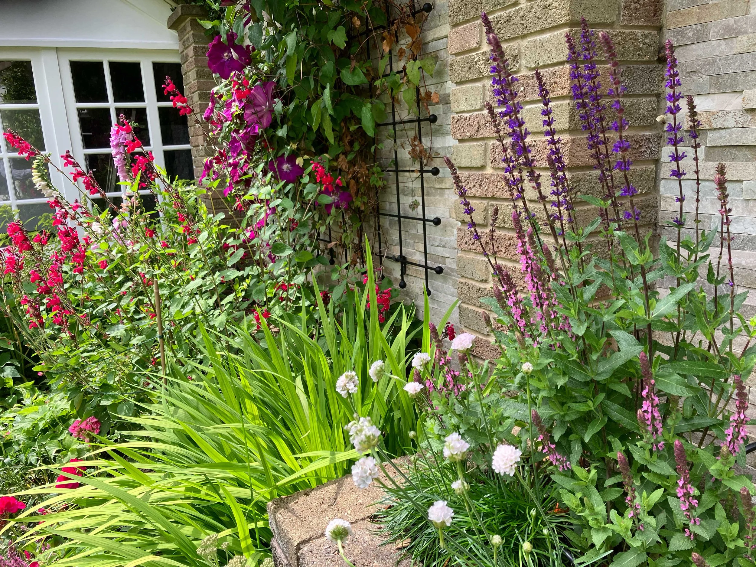 Tall planting blends colour skyward