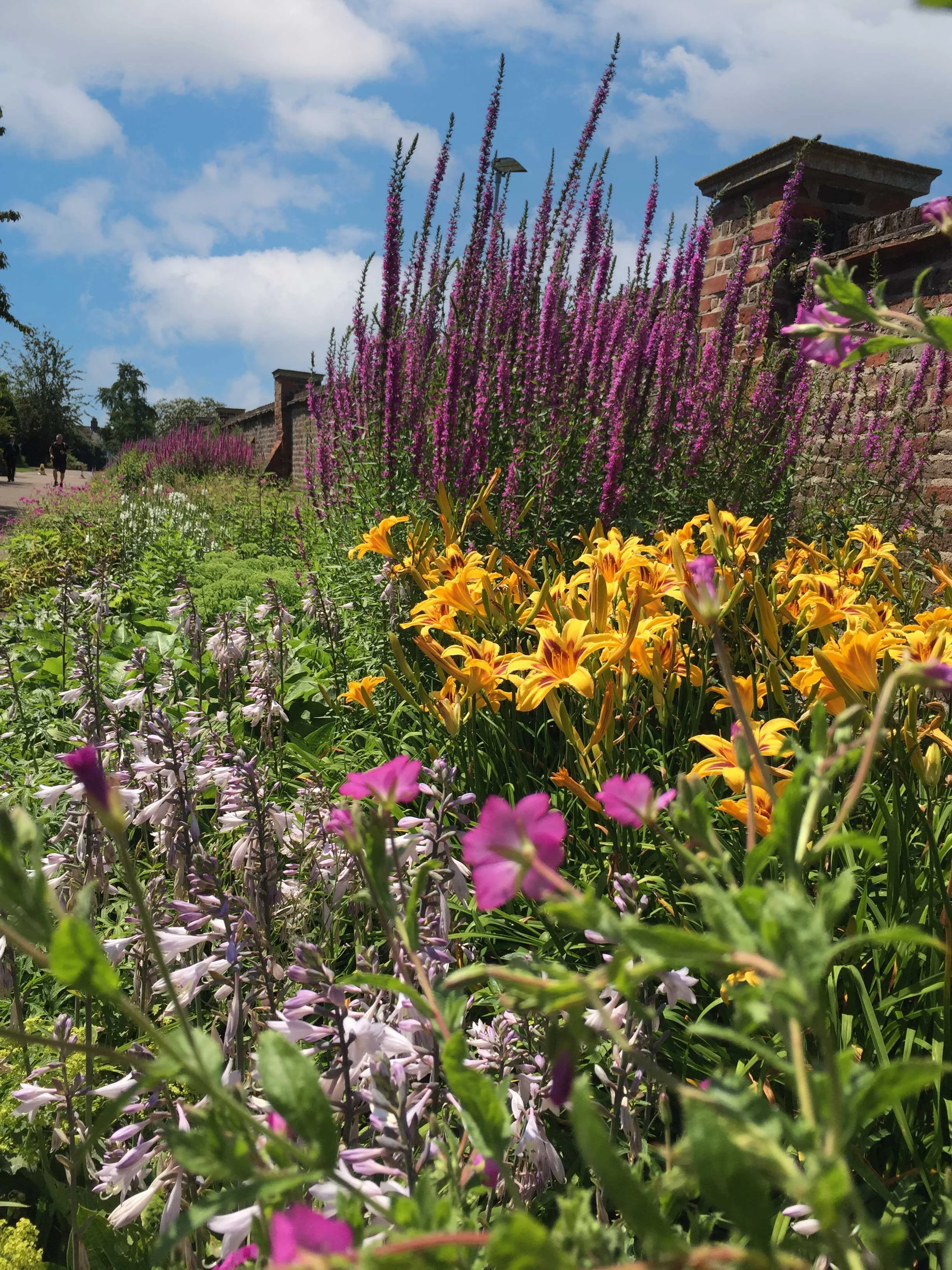 Rich textural planting combinations change the visual pace of the border