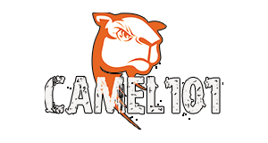 Camlogo4.png